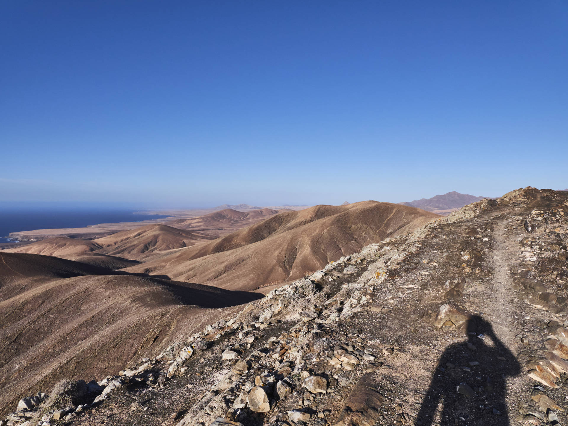 Sunny Fuerte