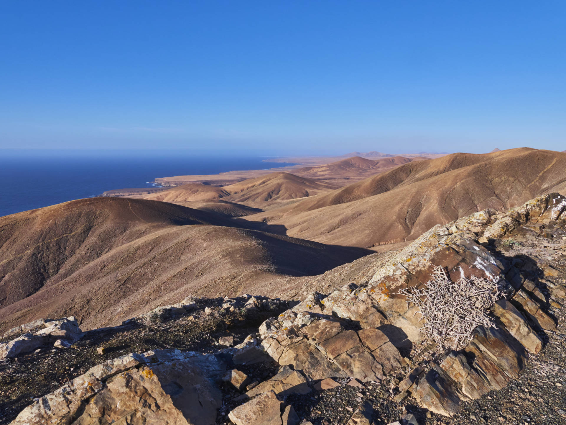 Sunny Fuerte