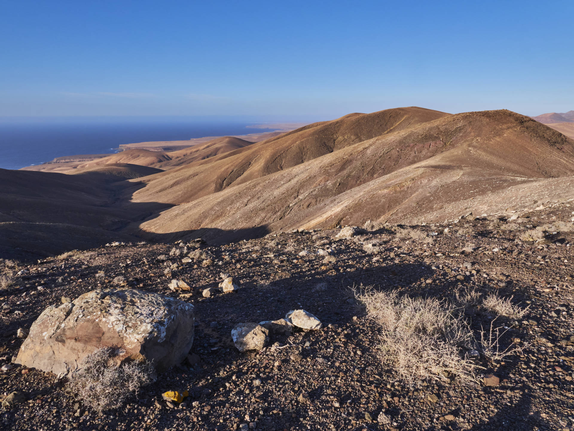 Sunny Fuerte