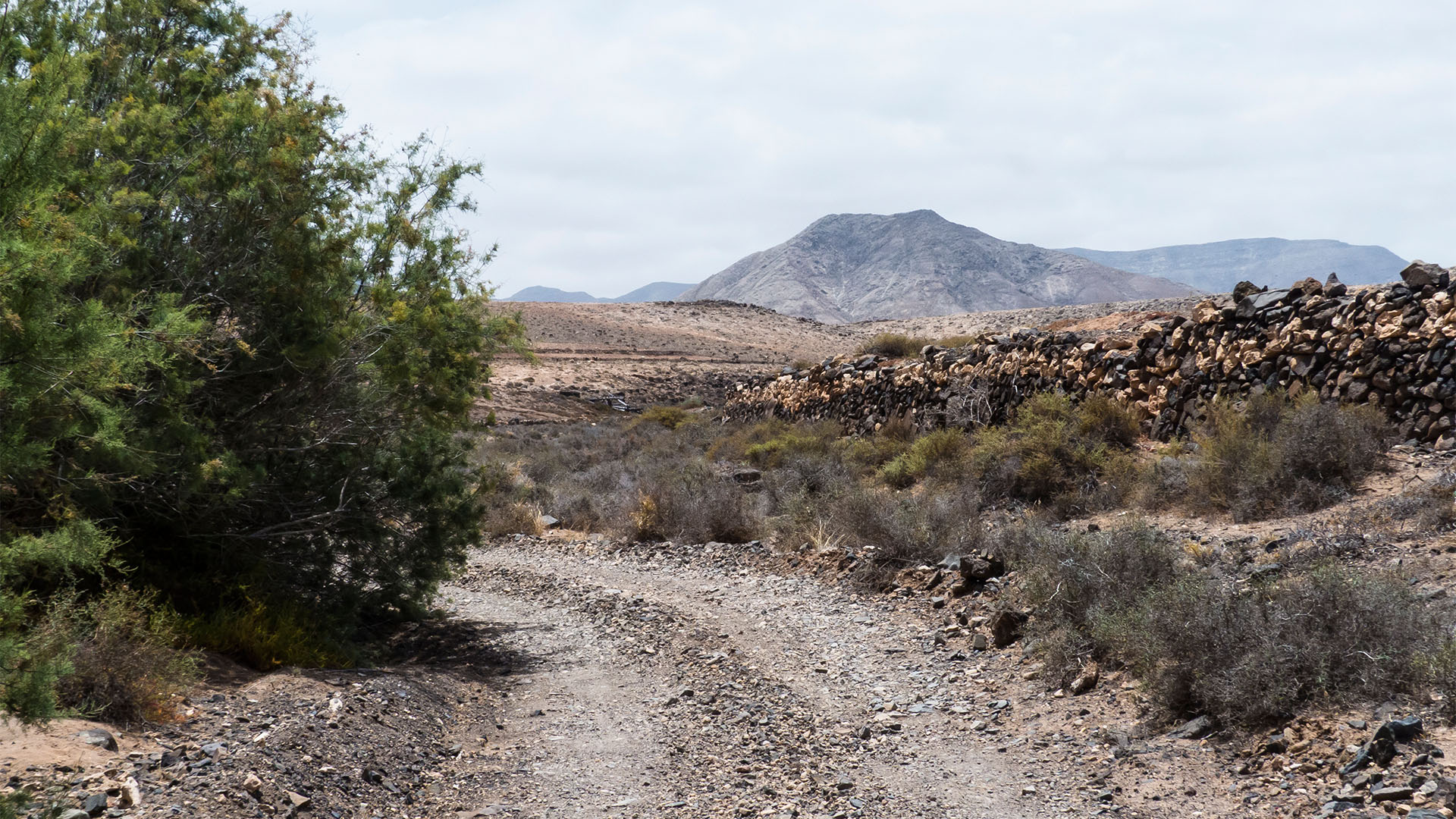 Wandern + Trekking auf Fuerteventura: Von Tindaya durch den Barranco Esquinzo nach El Cotillo.