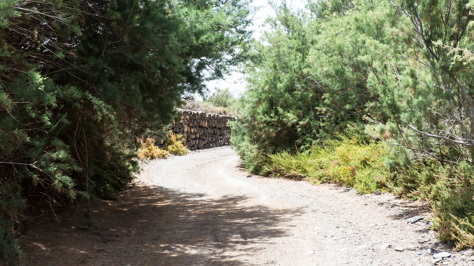 Wandern + Trekking auf Fuerteventura: Von Tindaya durch den Barranco Esquinzo nach El Cotillo.