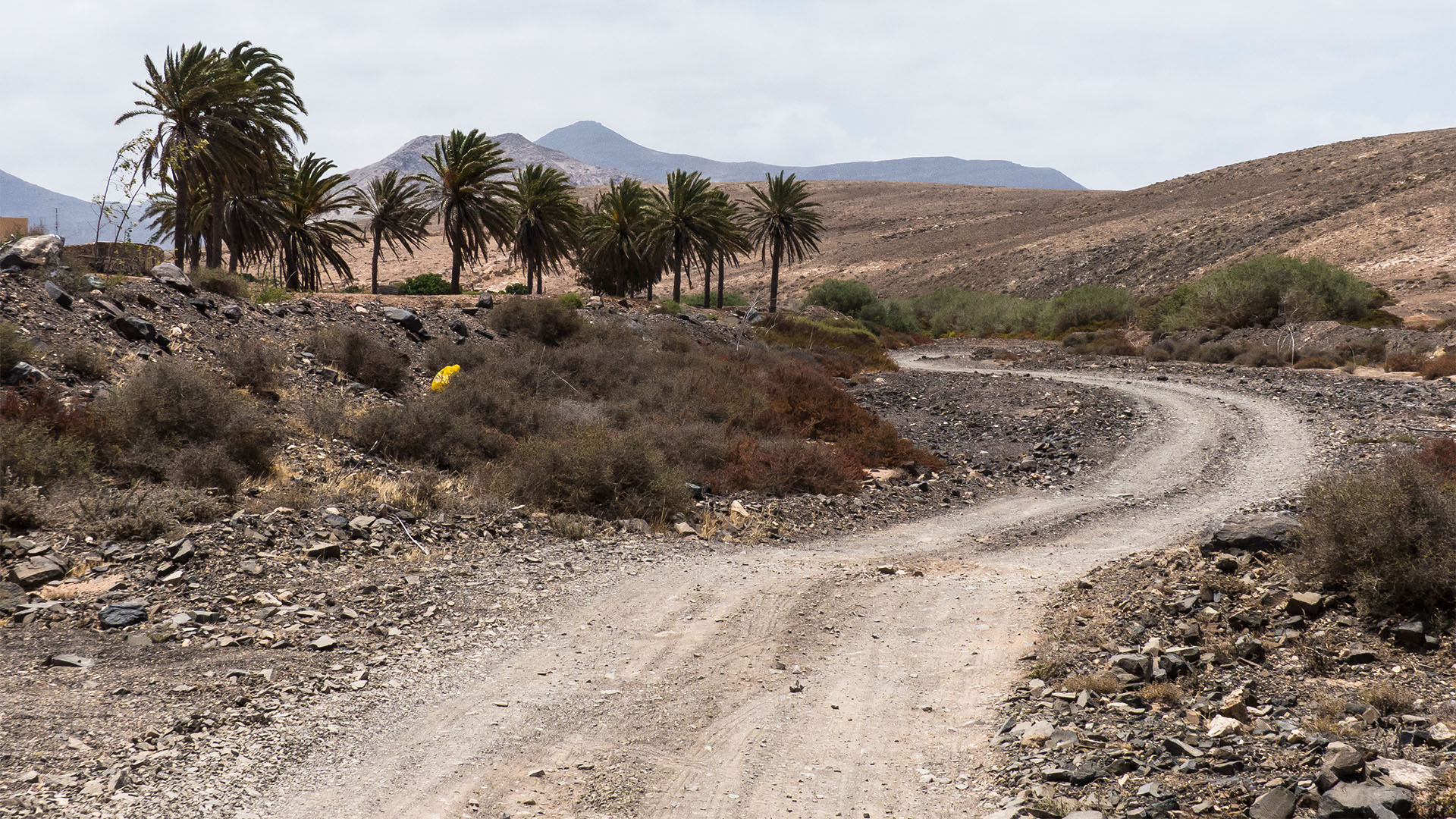 Wandern + Trekking auf Fuerteventura: Von Tindaya durch den Barranco Esquinzo nach El Cotillo.