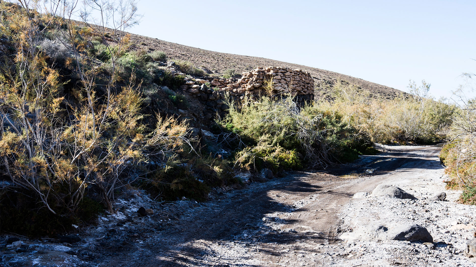 Wandern + Trekking auf Fuerteventura: Von Tindaya durch den Barranco Esquinzo nach El Cotillo.