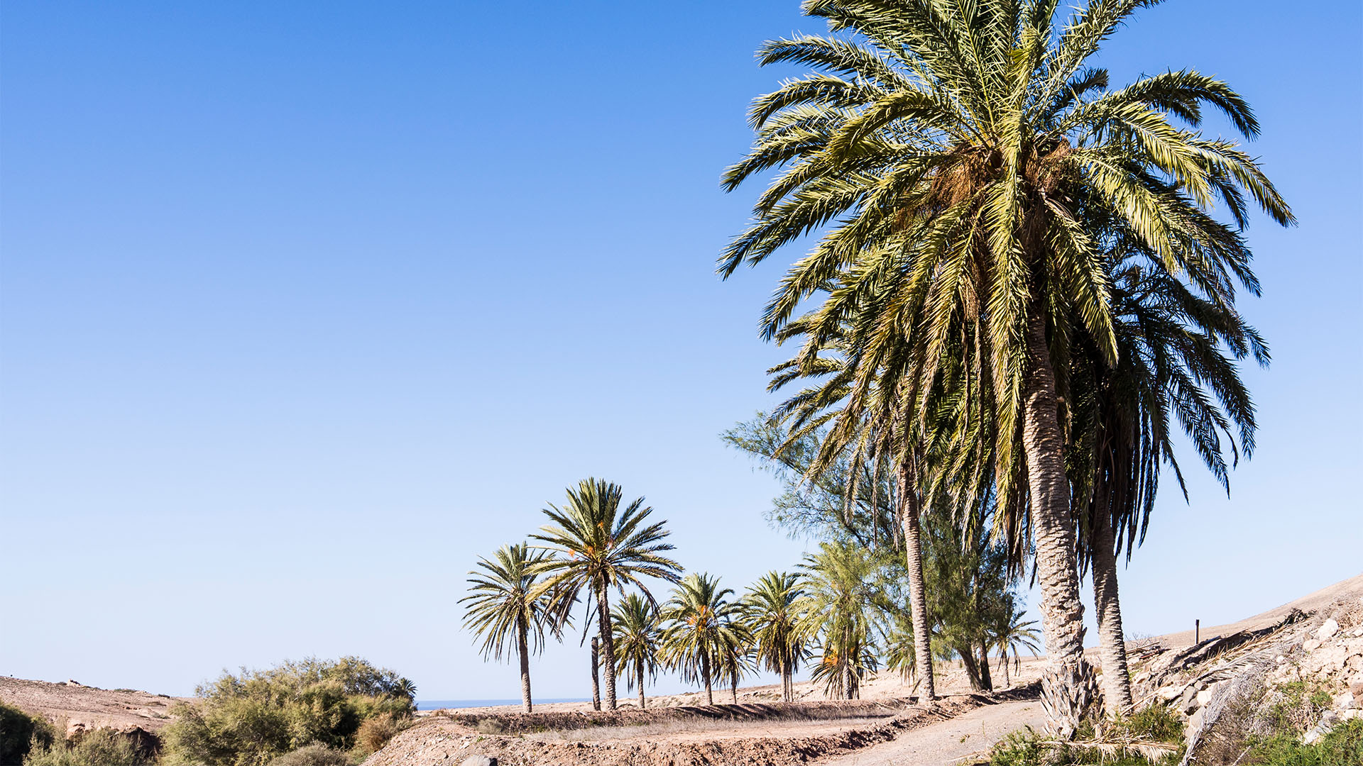 Wandern + Trekking auf Fuerteventura: Von Tindaya durch den Barranco Esquinzo nach El Cotillo.