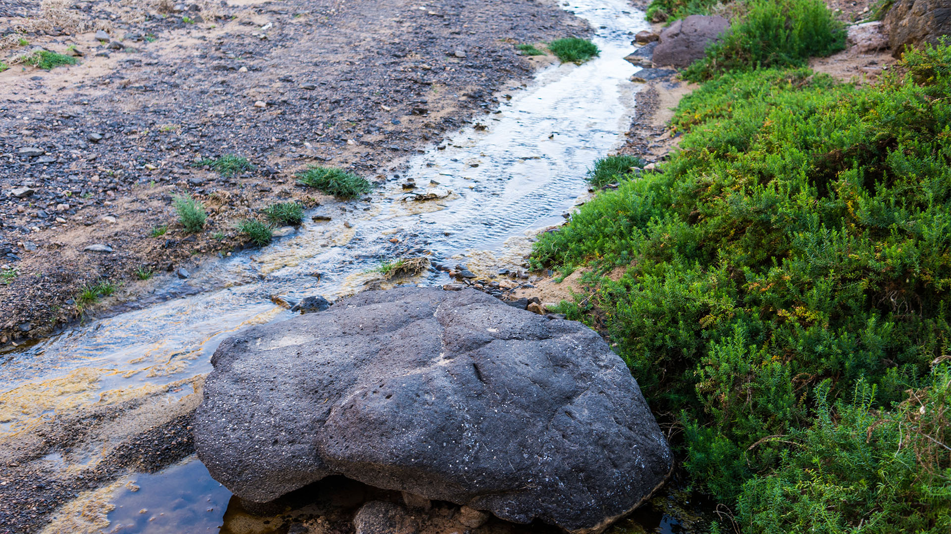 Wandern + Trekking auf Fuerteventura: Von Tindaya durch den Barranco Esquinzo nach El Cotillo.