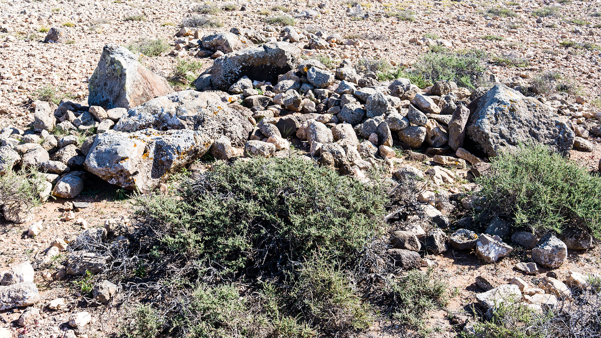 Wandern + Trekking auf Fuerteventura: Von Tindaya durch den Barranco Esquinzo nach El Cotillo.