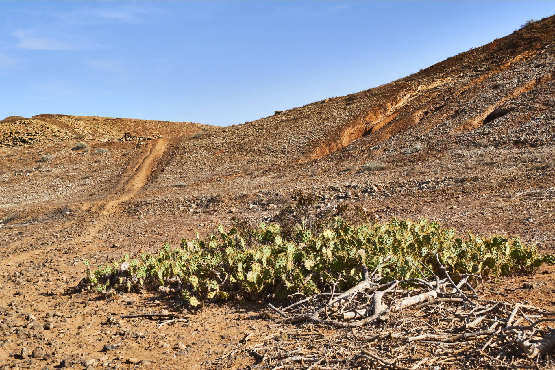 Über den GR-131 von Villaverde nach Lajares Fuerteventura.