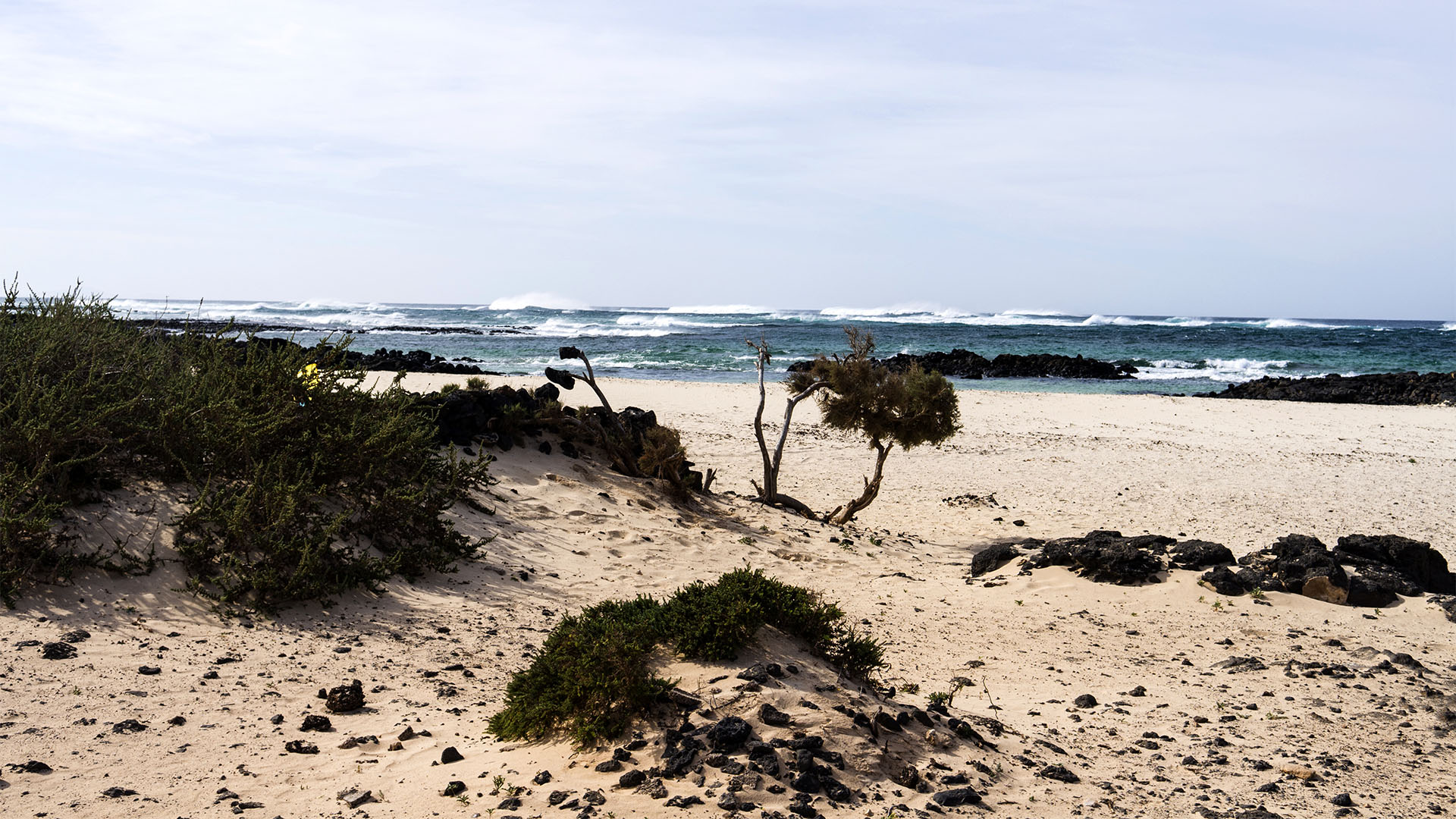 Wandern + Trekking auf Fuerteventura: Von El Cotillo zum Faro de Tostón.