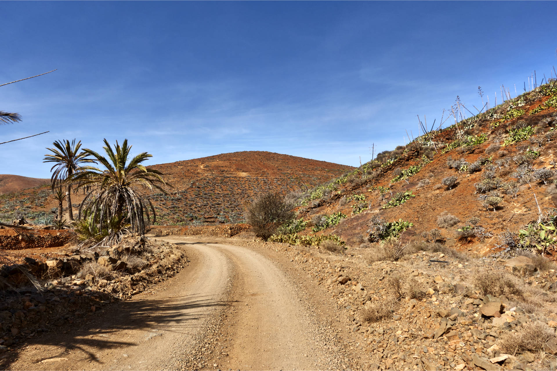 Von Agua de Bueyes durch den Barranco de los Almácigos.