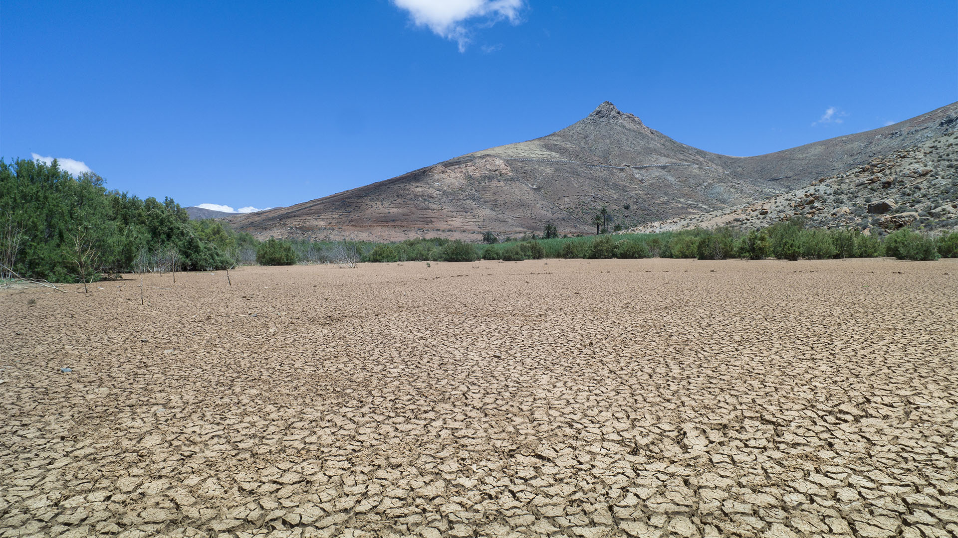 Wandern + Trekking auf Fuerteventura: Durchs Palmental von Vega Río Palmas nach Ajuy.