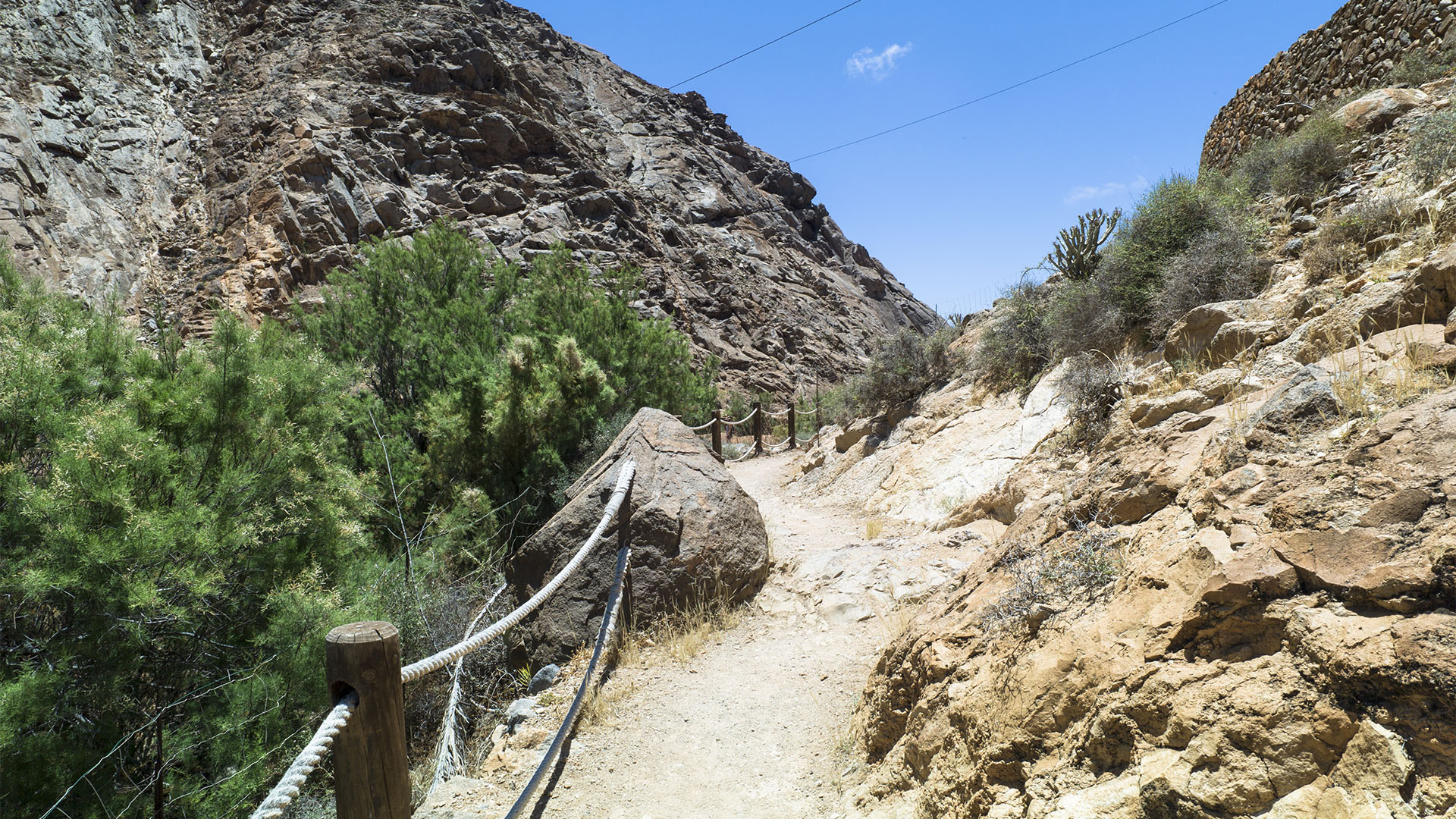 Wandern + Trekking auf Fuerteventura: Durchs Palmental von Vega Río Palmas nach Ajuy.