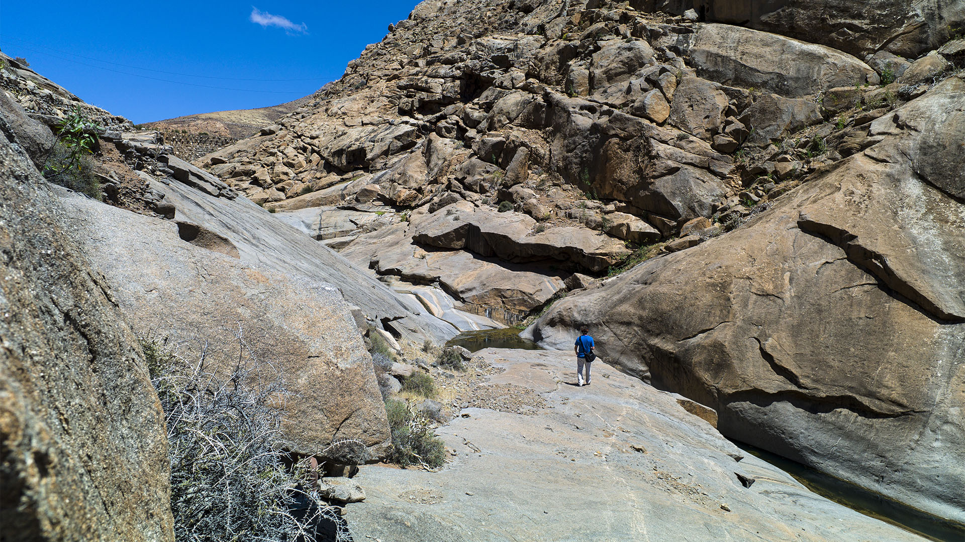 Wandern + Trekking auf Fuerteventura: Durchs Palmental von Vega Río Palmas nach Ajuy.