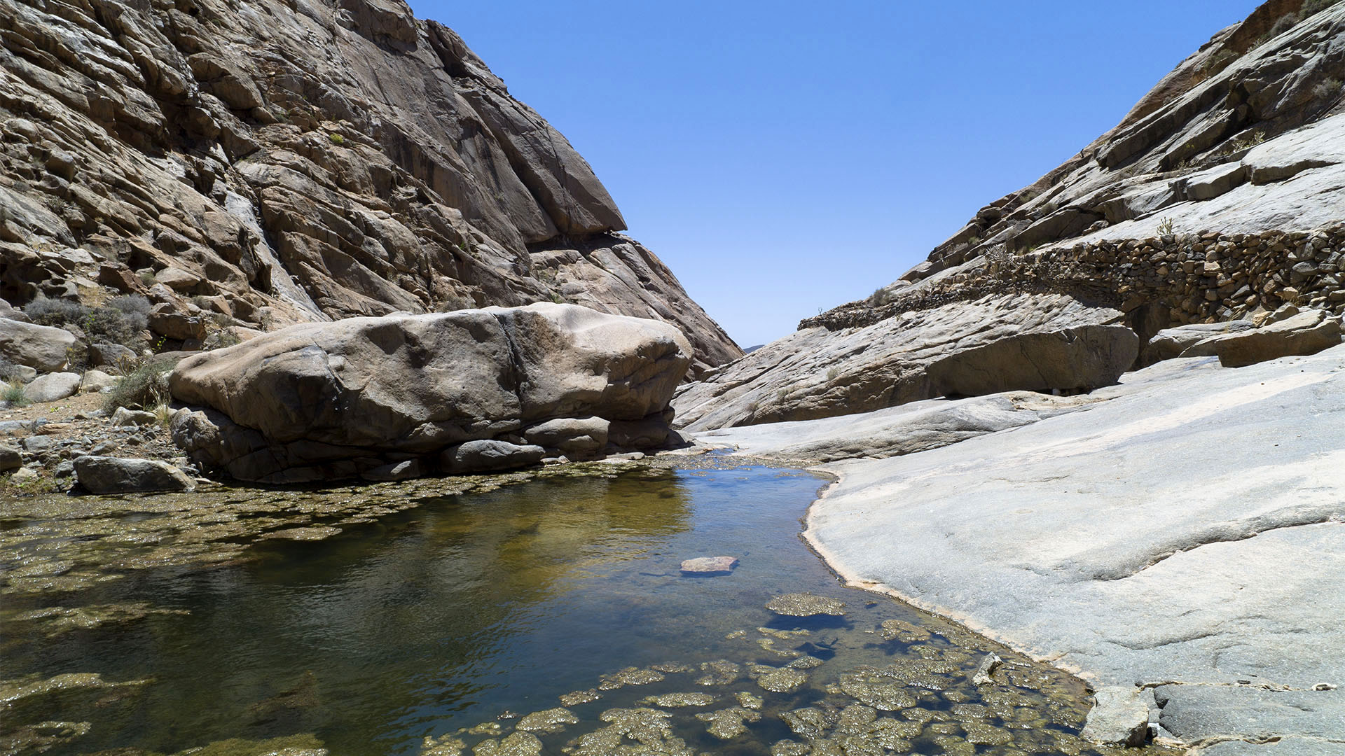 Wandern + Trekking auf Fuerteventura: Durchs Palmental von Vega Río Palmas nach Ajuy.