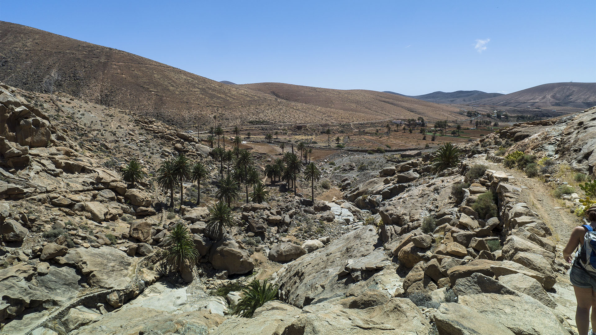 Wandern + Trekking auf Fuerteventura: Durchs Palmental von Vega Río Palmas nach Ajuy.