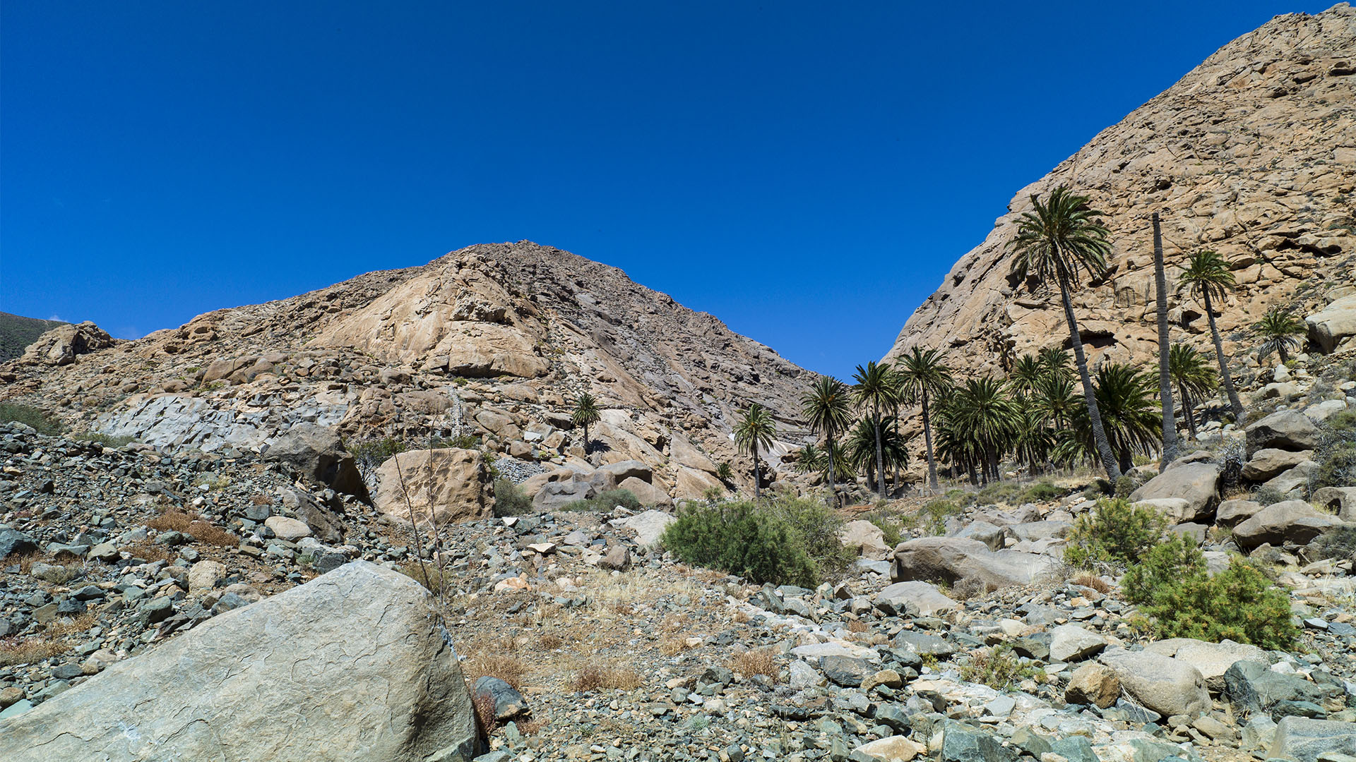 Wandern + Trekking auf Fuerteventura: Durchs Palmental von Vega Río Palmas nach Ajuy.