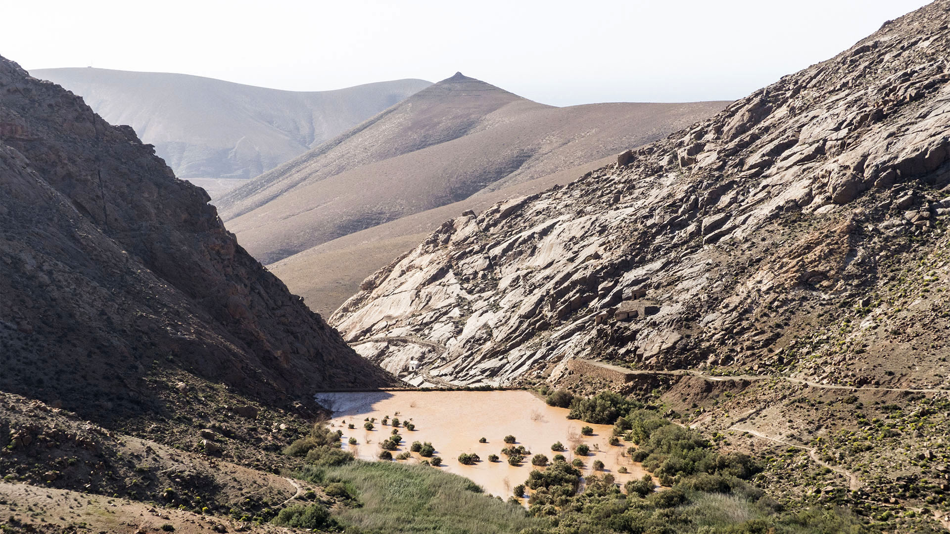 Wandern + Trekking auf Fuerteventura: Durchs Palmental von Vega Río Palmas nach Ajuy.