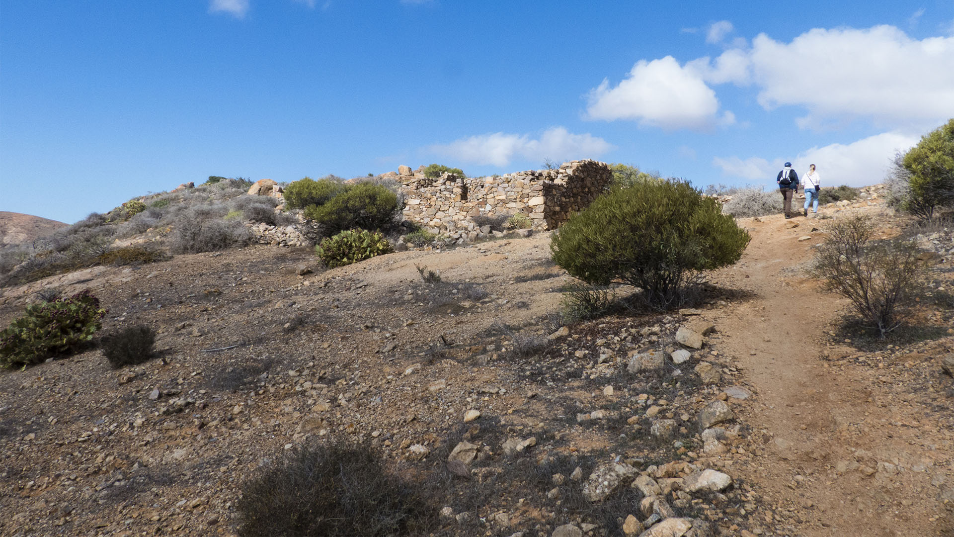 Wandern + Trekking auf Fuerteventura: Parra Medina einsam mit tollem Ausblick.