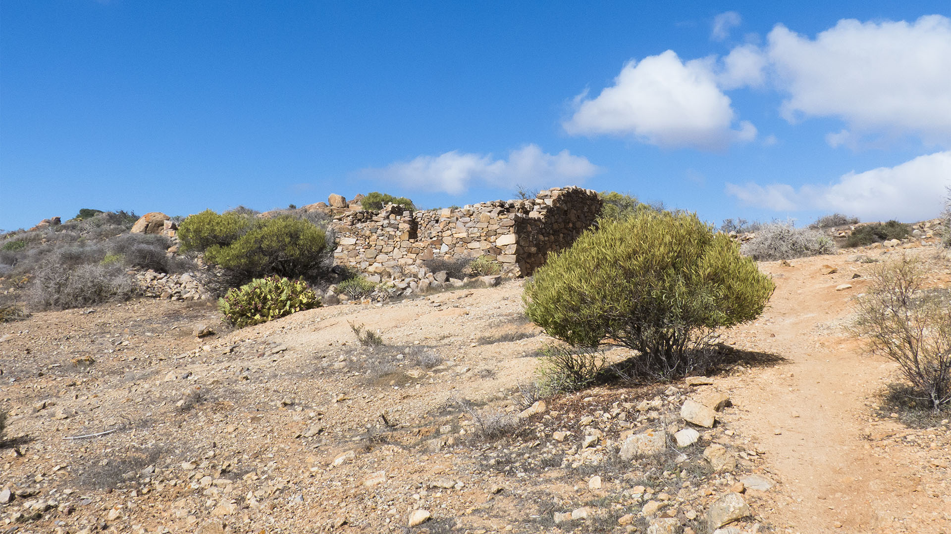 Wandern + Trekking auf Fuerteventura: Parra Medina einsam mit tollem Ausblick.