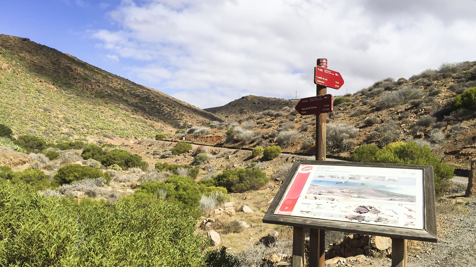 Wandern + Trekking auf Fuerteventura: Parra Medina einsam mit tollem Ausblick.