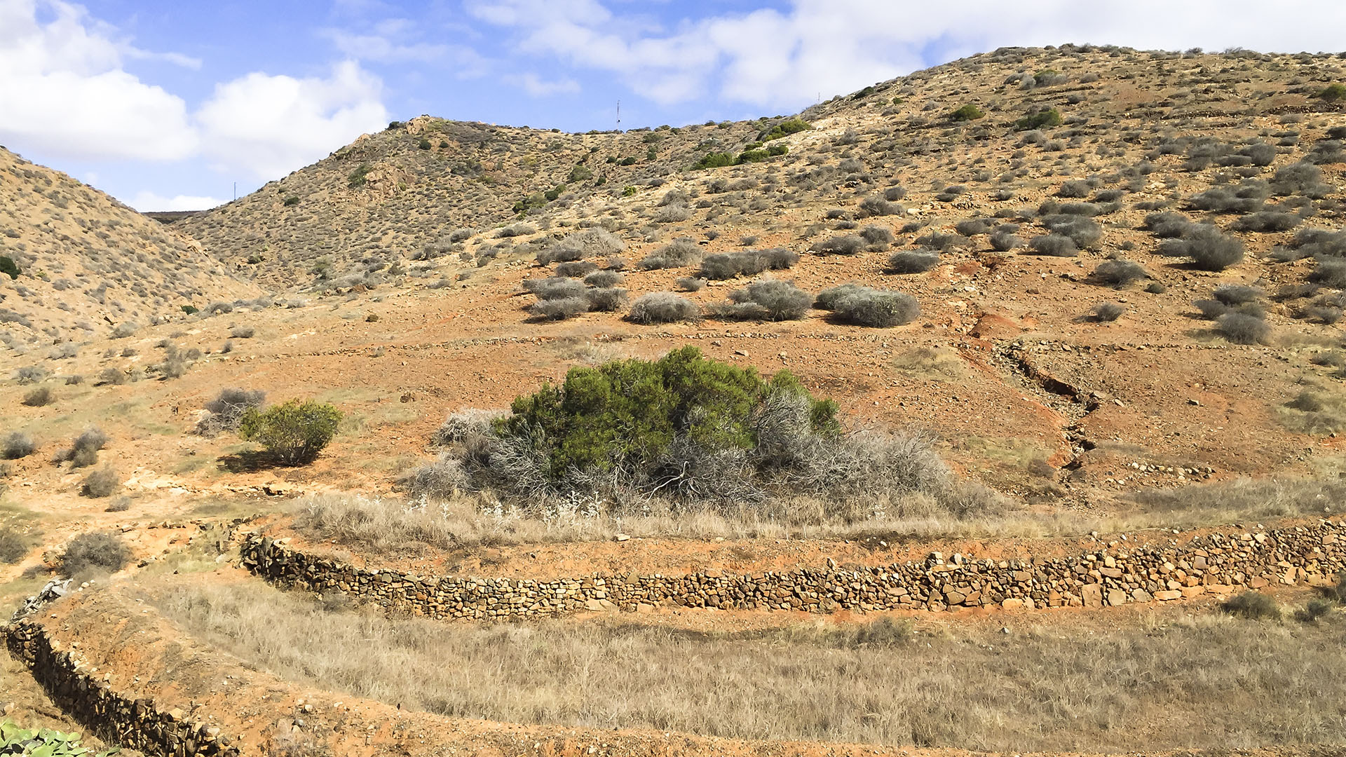 Wandern + Trekking auf Fuerteventura: Parra Medina einsam mit tollem Ausblick.