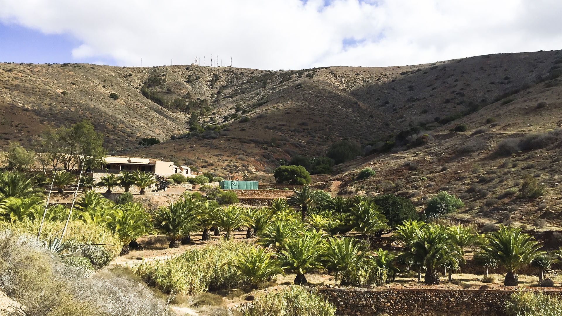 Wandern + Trekking auf Fuerteventura: Parra Medina einsam mit tollem Ausblick.