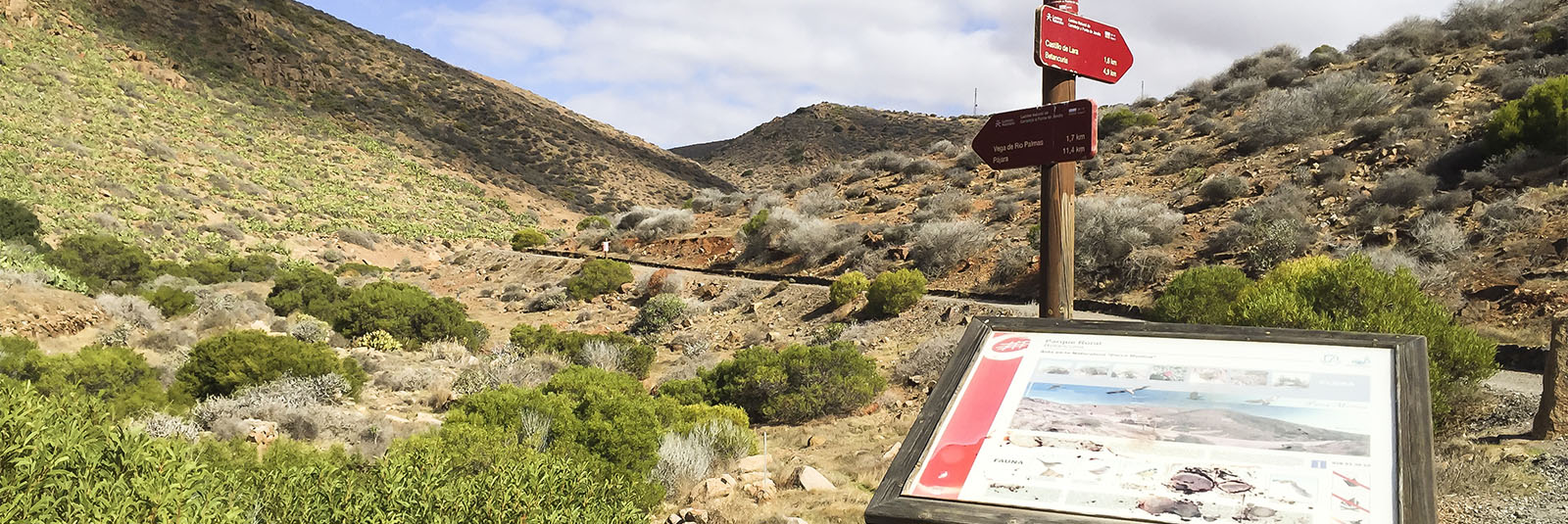 Wandern + Trekking auf Fuerteventura: Parra Medina einsam mit tollem Ausblick.