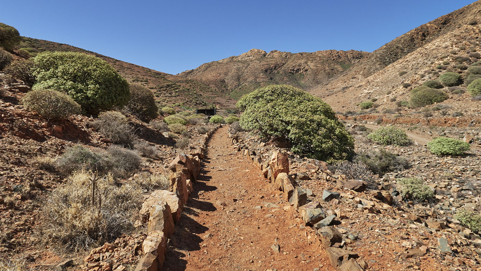 Wanderung von Toto über den Mirador los Granadillos auf den Morro de los Olivos und den Filo de Fénduca.