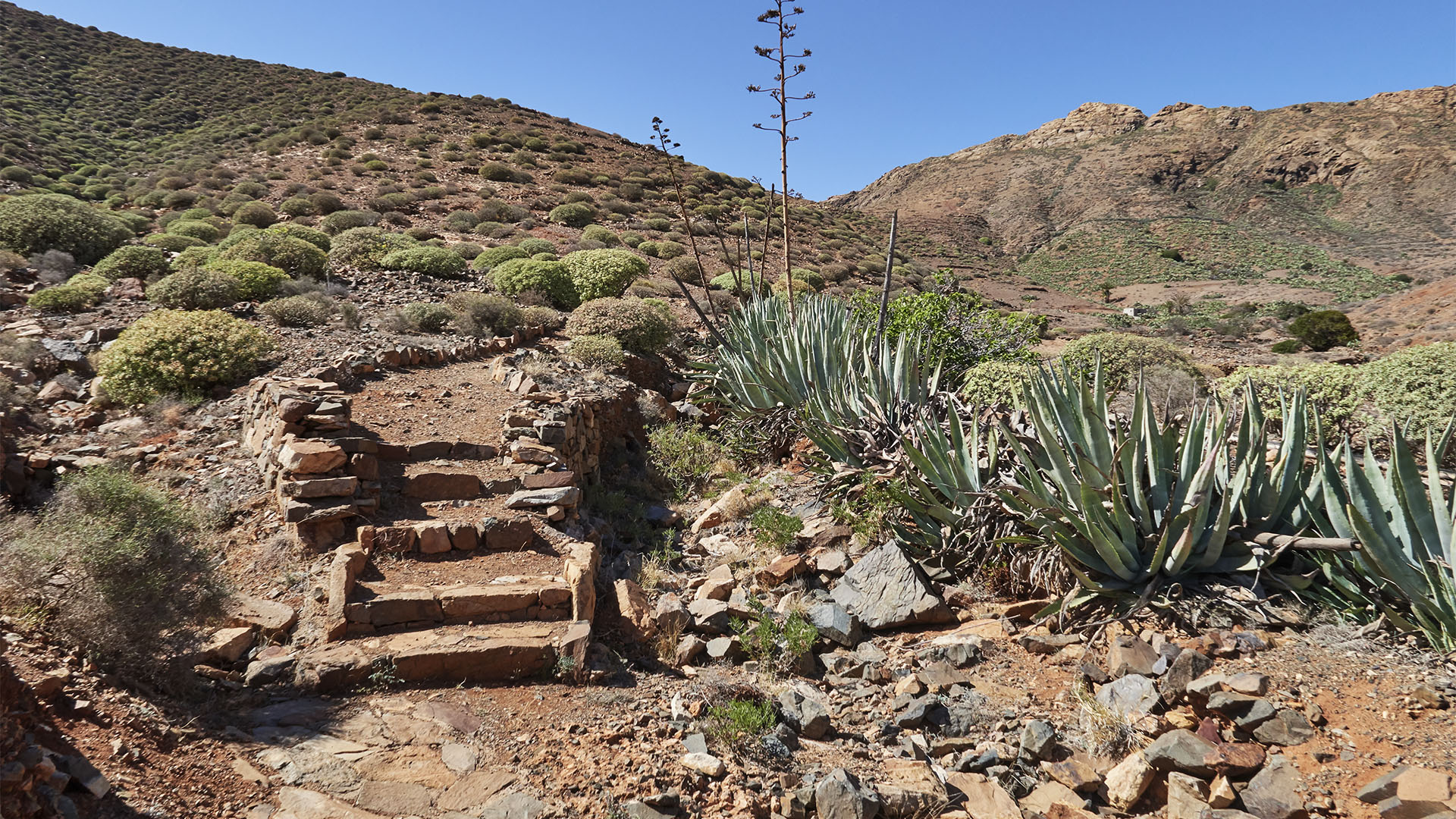 Wanderung von Toto über den Mirador los Granadillos auf den Morro de los Olivos und den Filo de Fénduca.