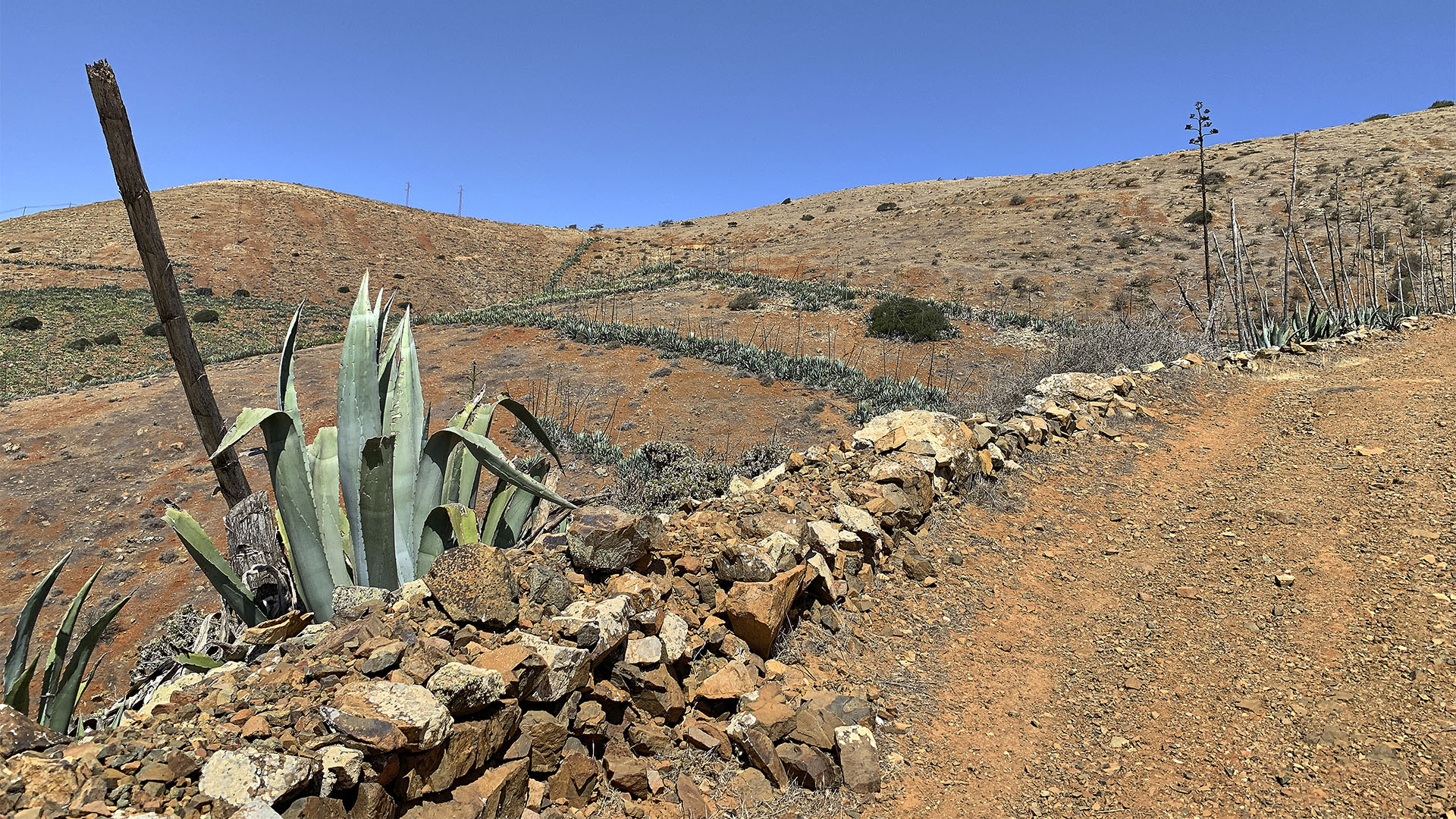 Wandern Fuerteventura: von Antigua über den Degollada de la Villa nach Betancuria.