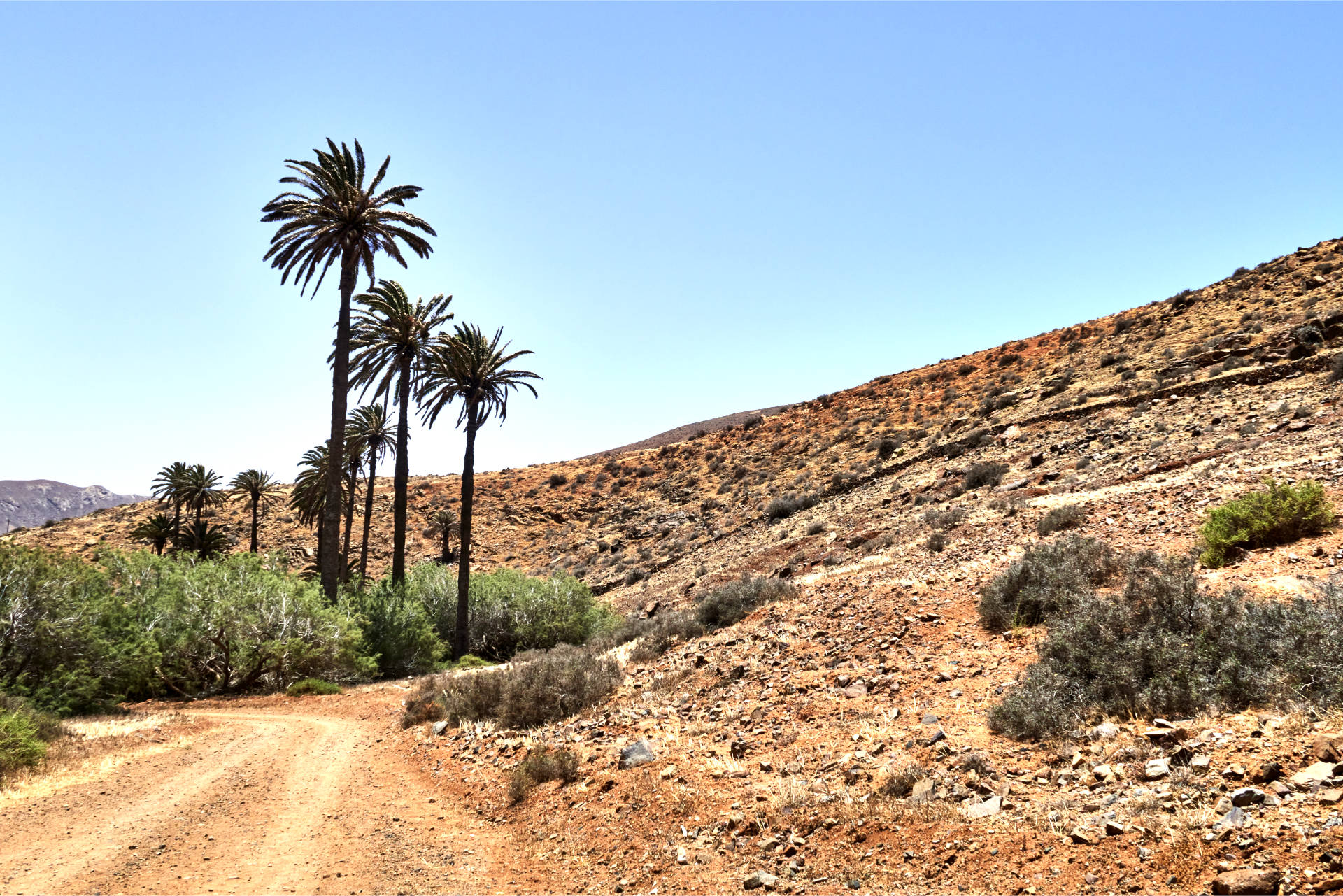 Durch den Barranco de Betancuria Richtung Vega de Río Palmas.