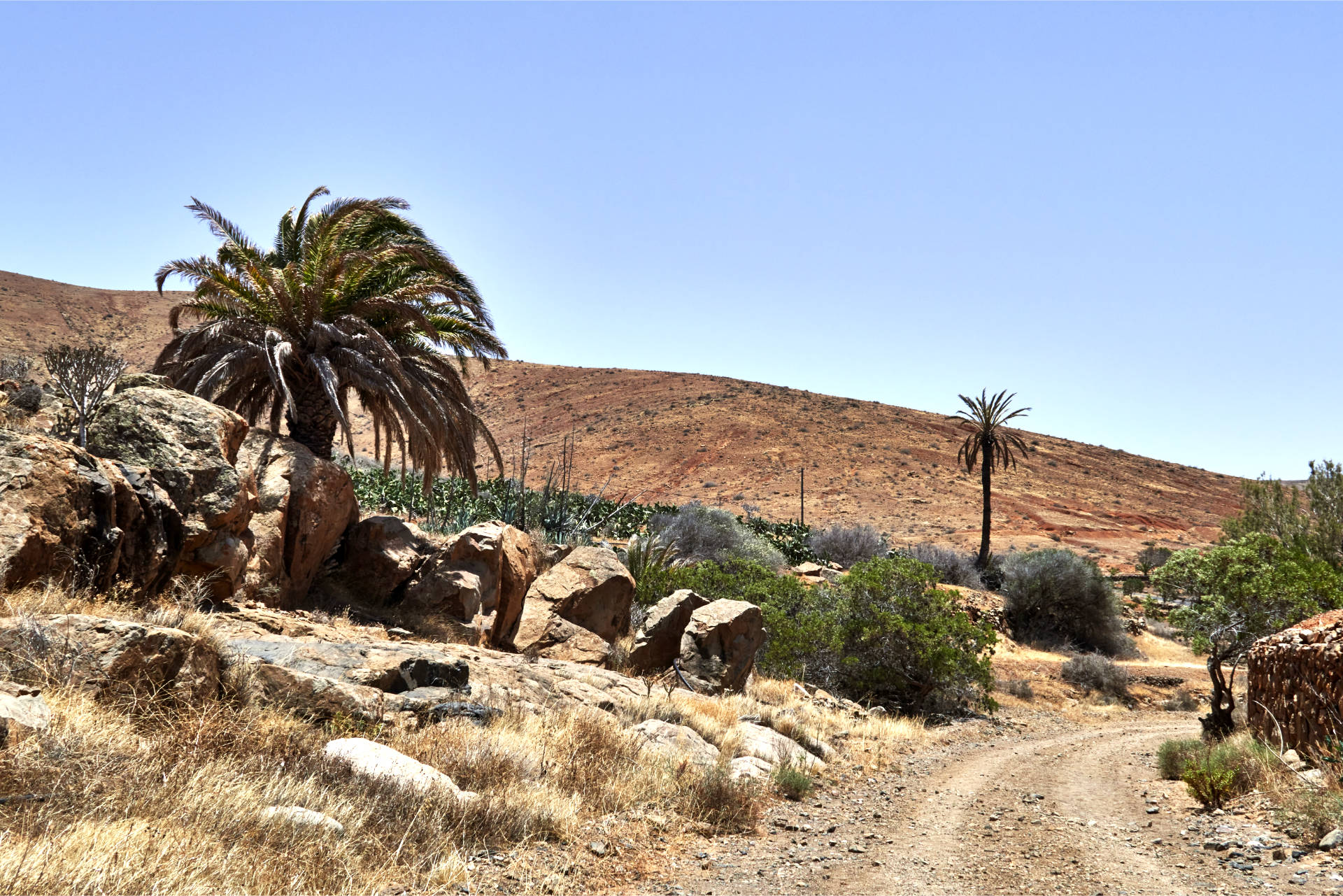 Durch den Barranco de Betancuria Richtung Vega de Río Palmas.