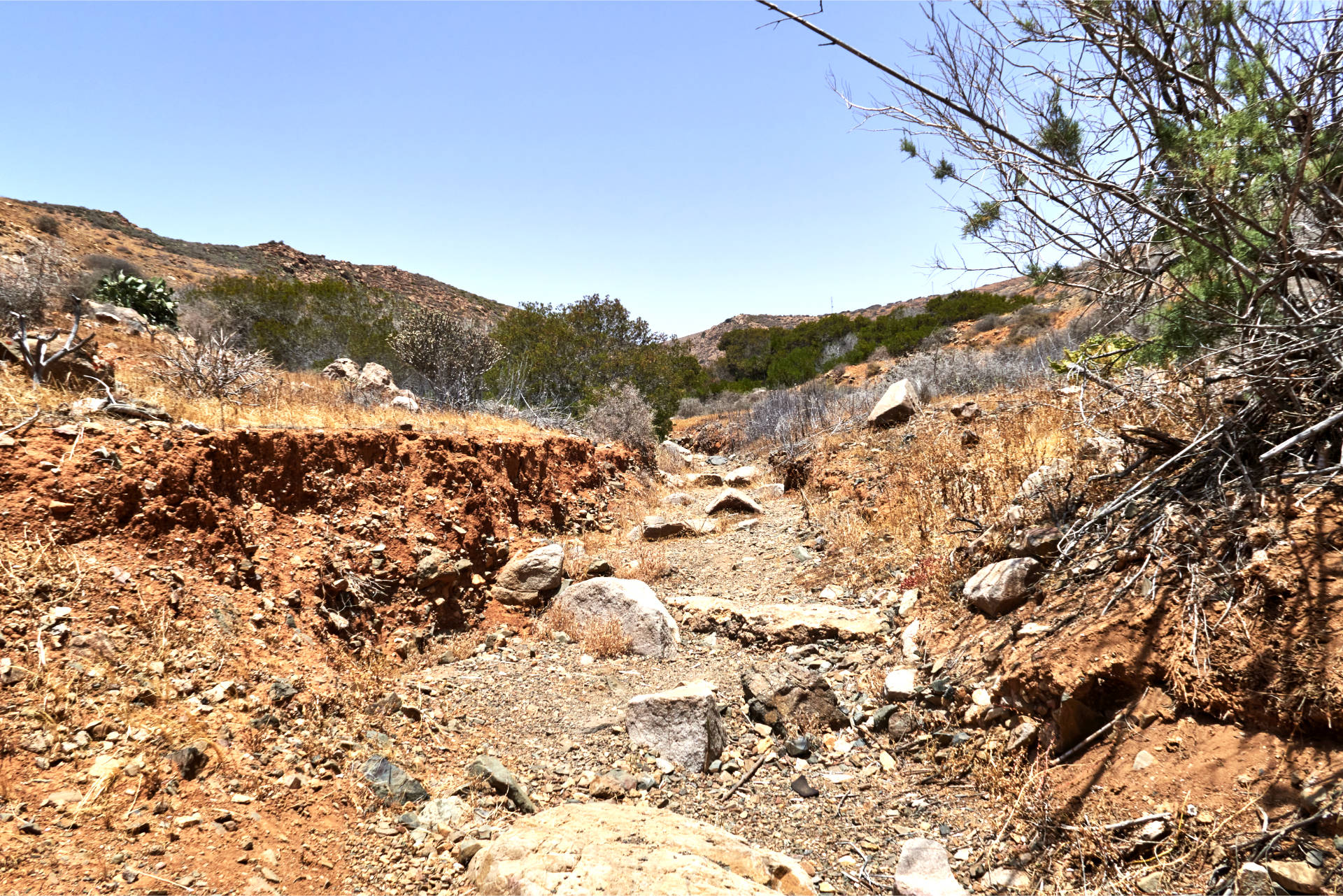 Durch den Barranco de Betancuria Richtung Vega de Río Palmas.