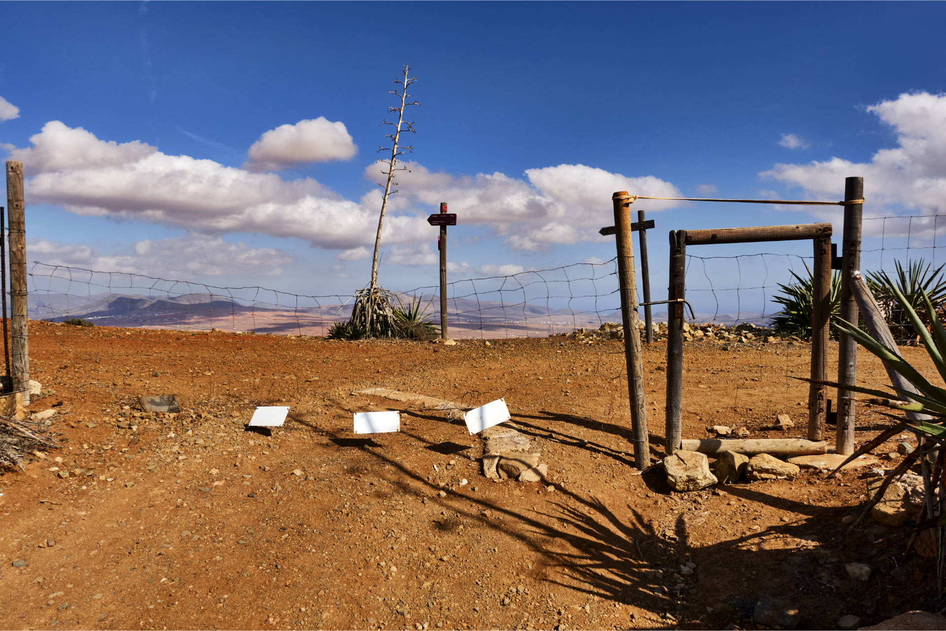 Am Degollada de los Pasos (569 m).