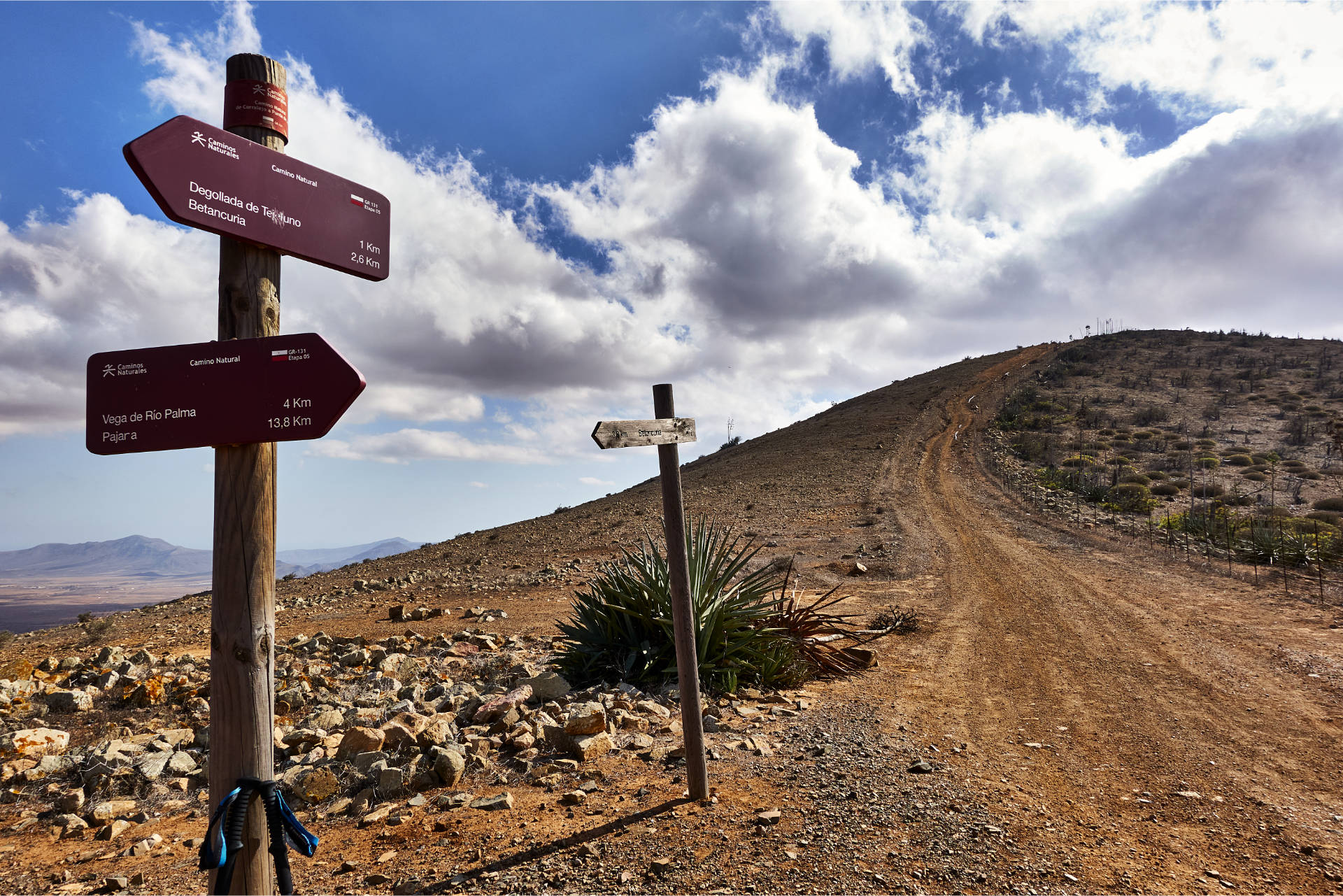 Blick vom Degollada de los Pasos (569 m) Richtung Morro Janana o Janichón (672 m).