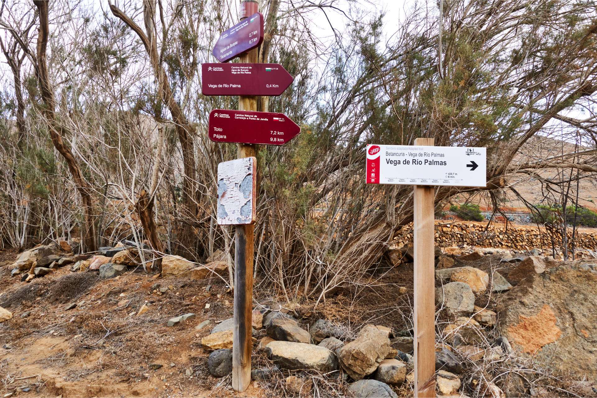 Durch den Barranco de Betancuria retour Richtung Barranco del Acebuche und Aula de la Naturaleza de Parra Medina.