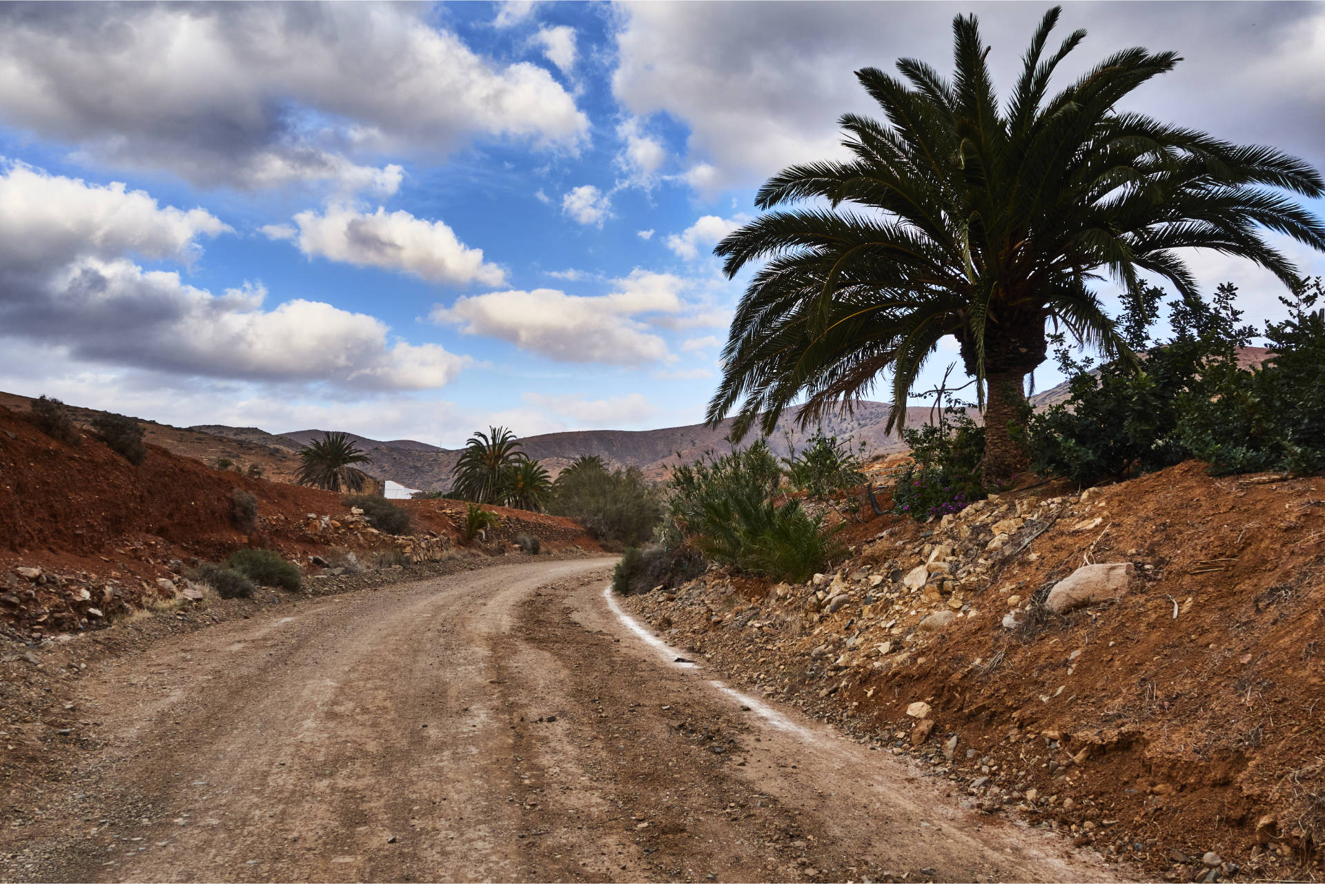 Durch den Barranco de Betancuria retour Richtung Barranco del Acebuche und Aula de la Naturaleza de Parra Medina.