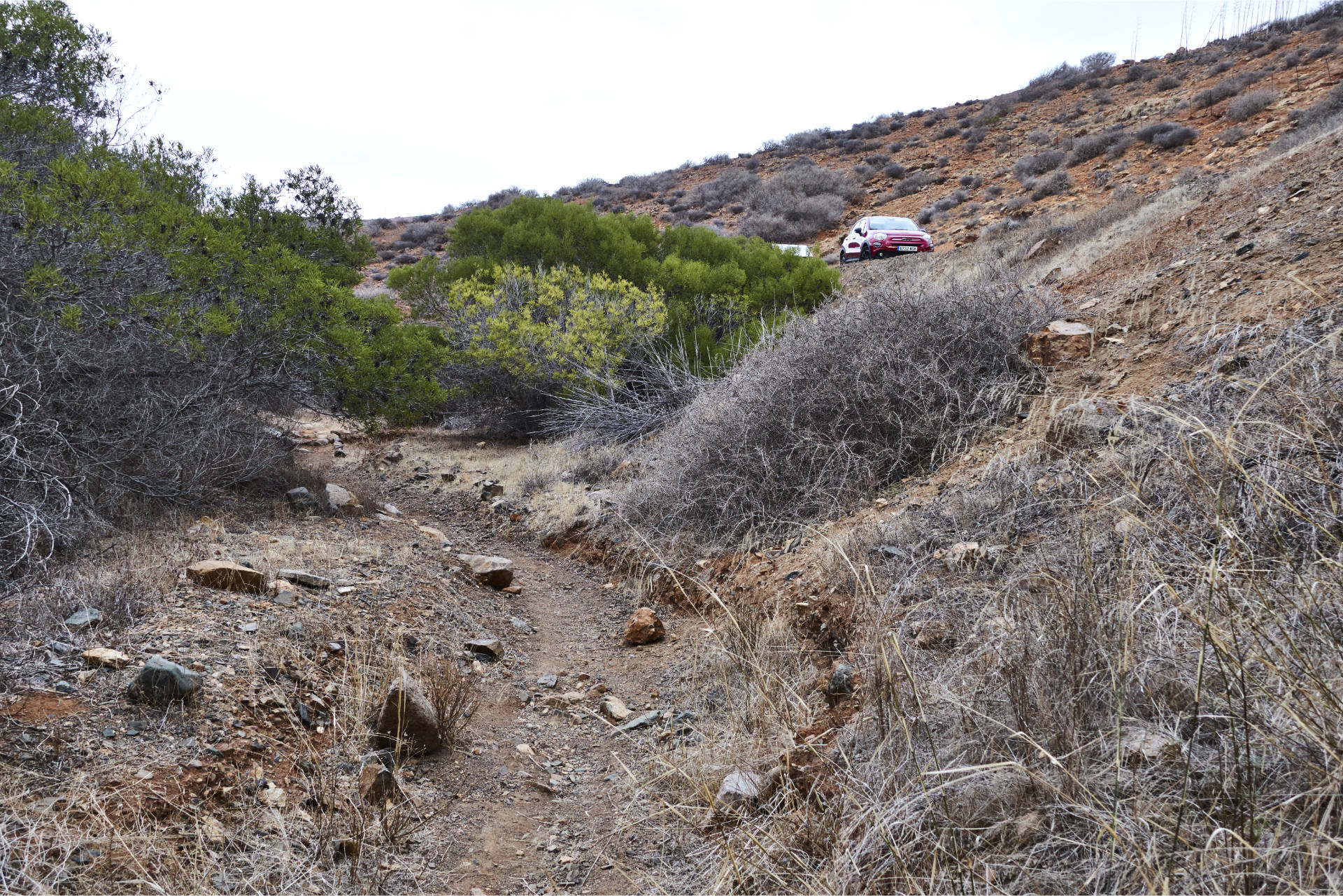 Vuelto – retour am Ausgangspunkt der Tour am Barranco de Palomares und der Piste hinauf zur Aula de la Naturaleza de Parra Medina.