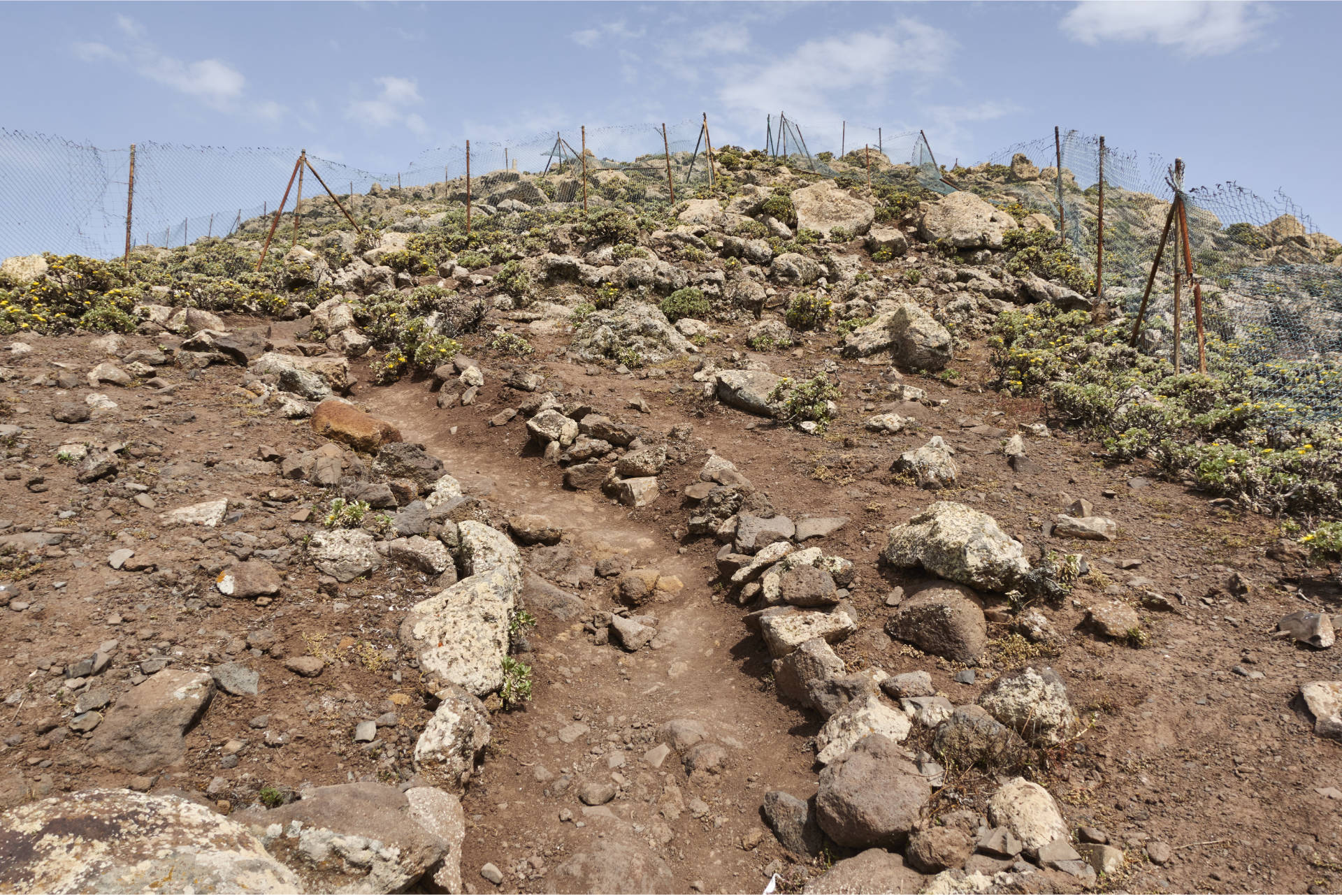 Das botanische Schutzgebiet beginnt 100m unterhalb des Gipfels des Pico de la Zarza.