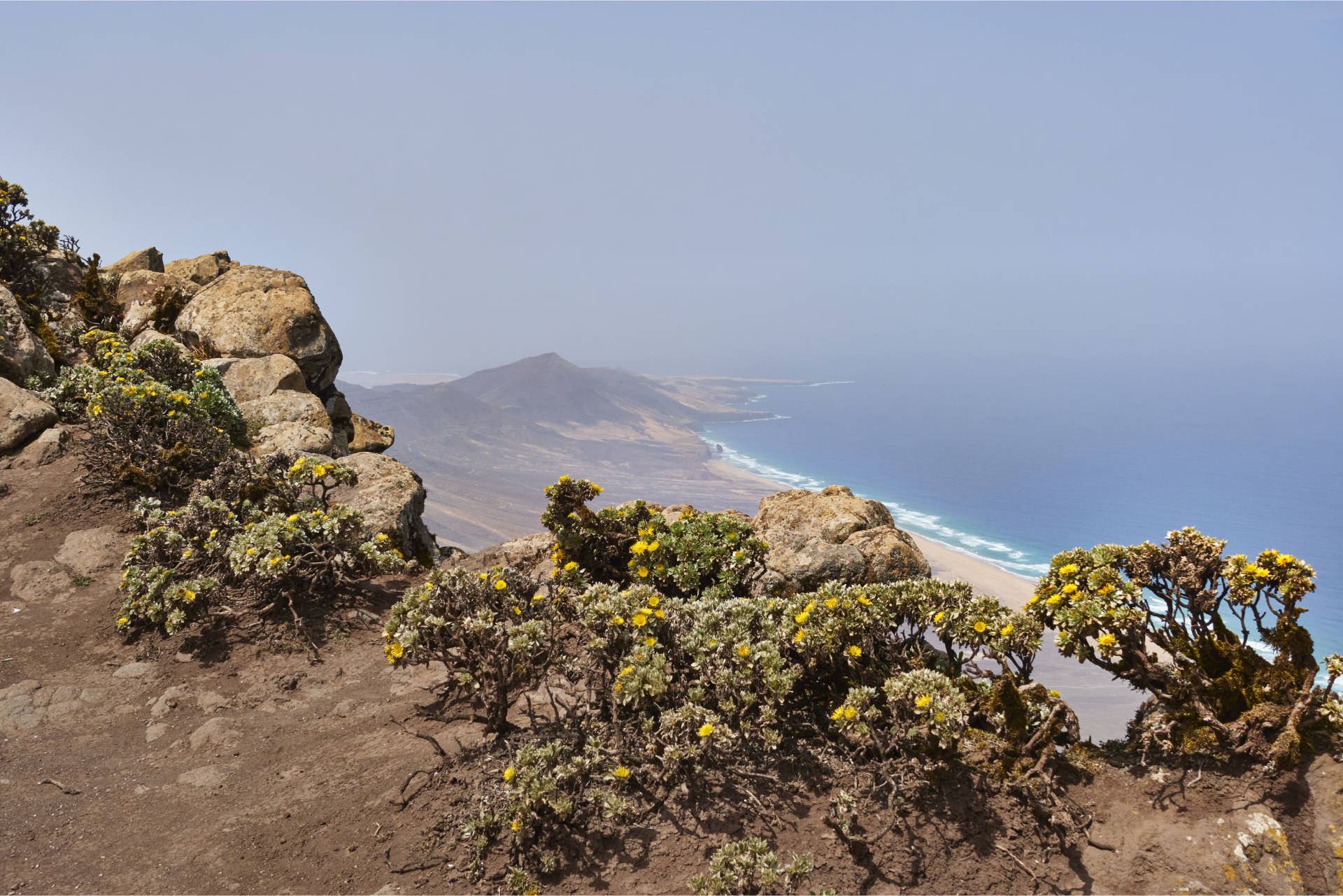 Herrlicher Ausblick vom Pico de la Zarza auf die Strände von Cofete, den Roque del Moro und den Punta de Pesebre.