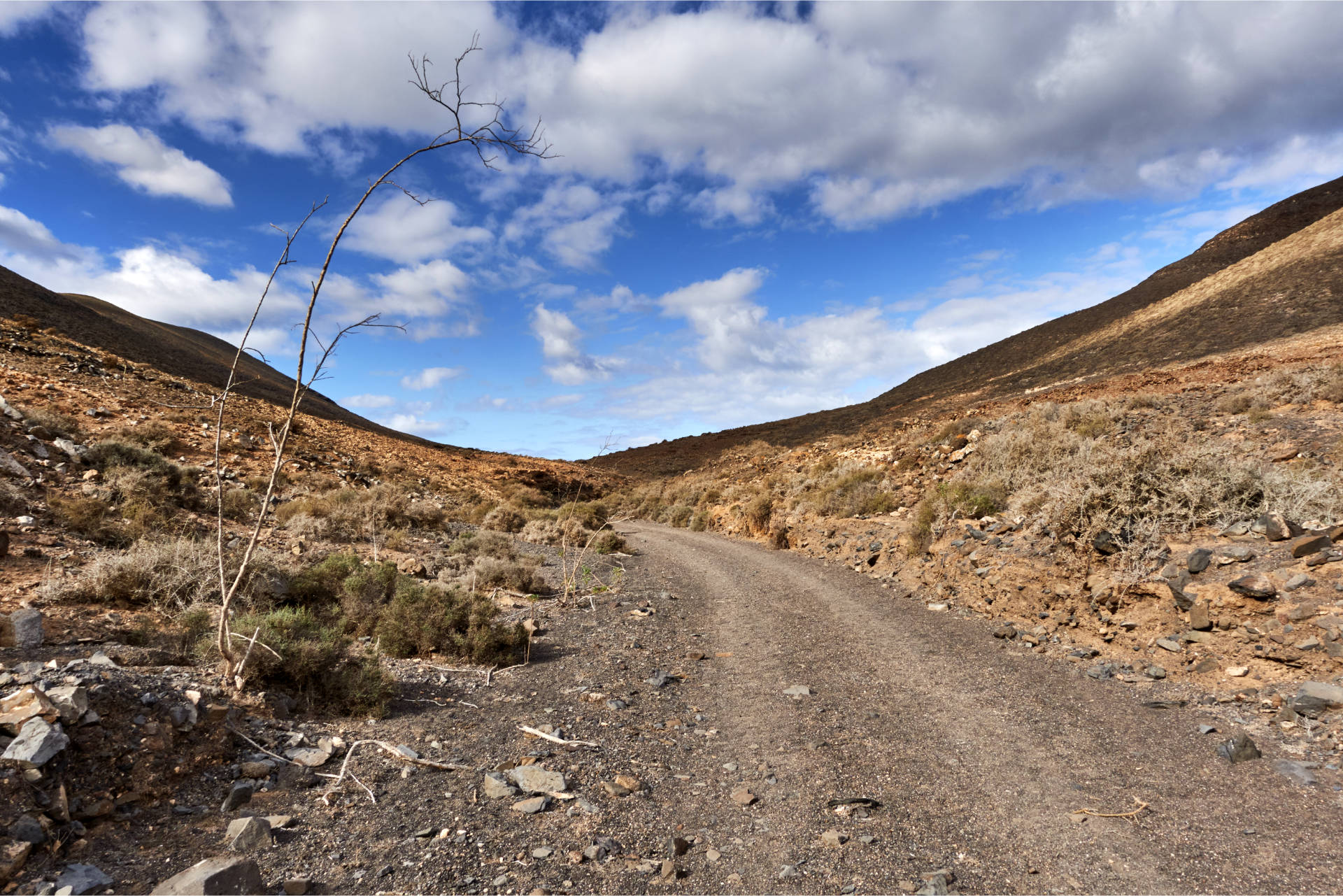 Die Piste wird ruppiger, der Barranco beginnt sich immer mehr zu verengen und mäandert dahin.