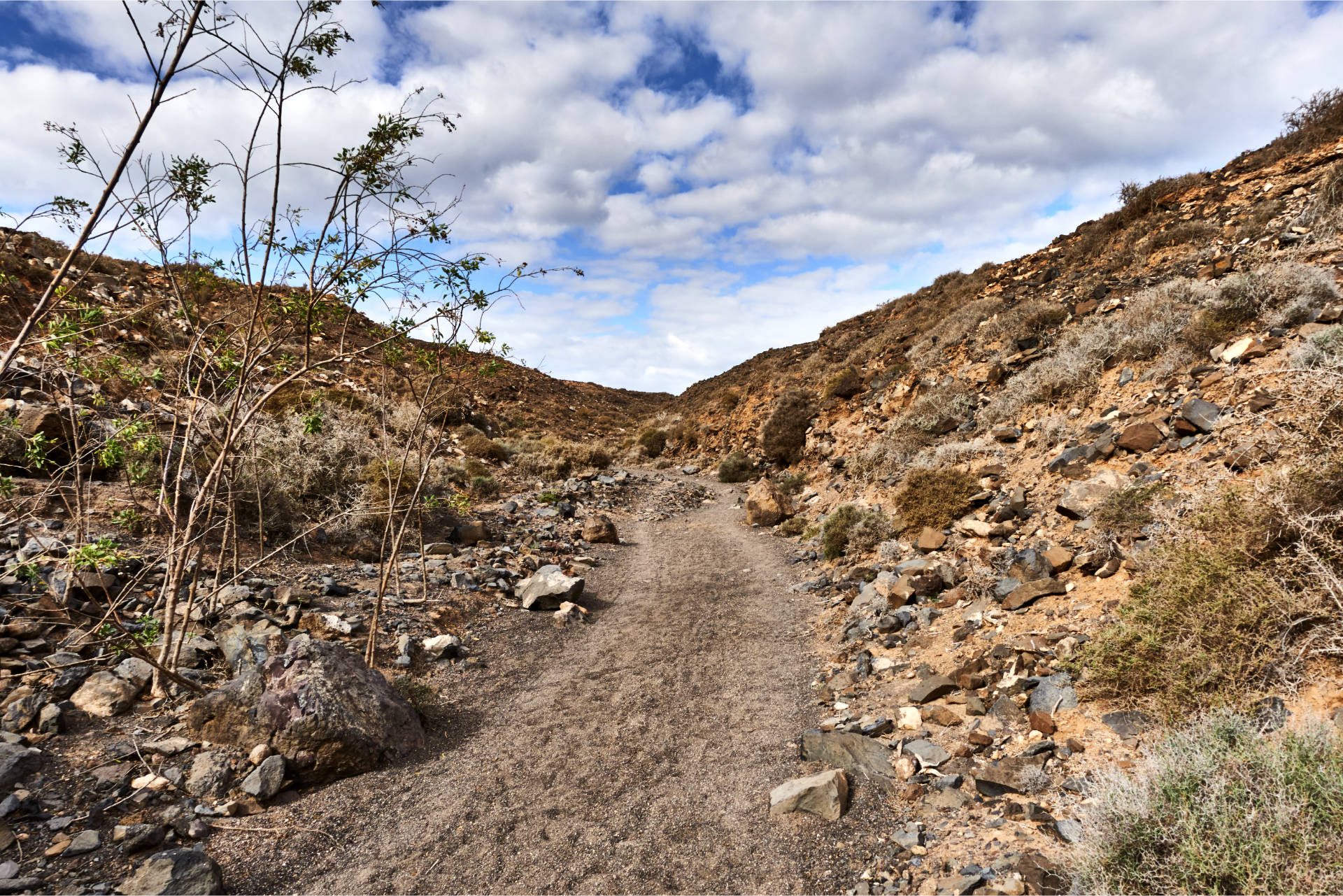 Die Piste wird ruppiger, der Barranco beginnt sich immer mehr zu verengen und mäandert dahin.