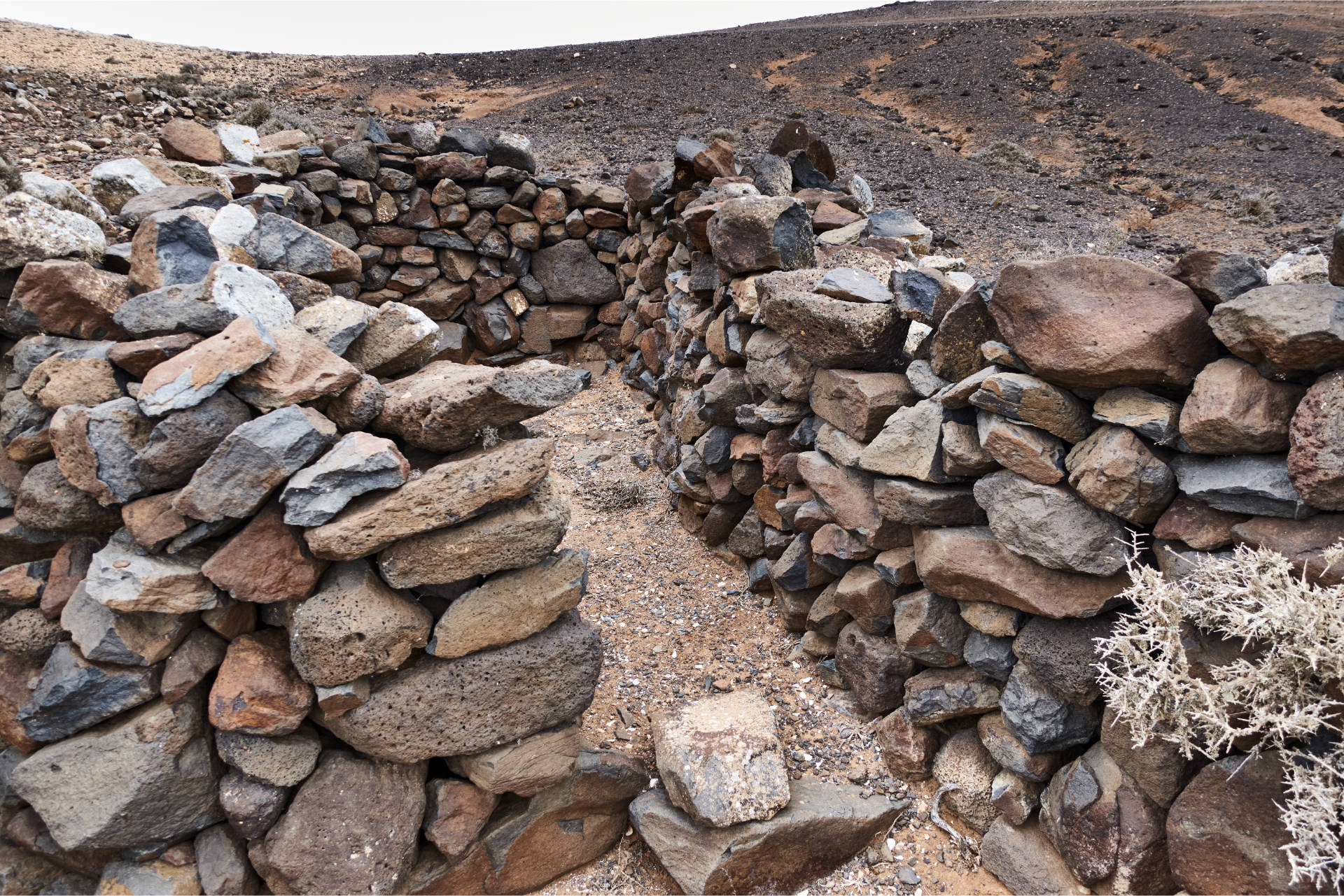 Westlich des Degollada de Pecenescal (249 m) tauchen die Majorero Ruinen auf.