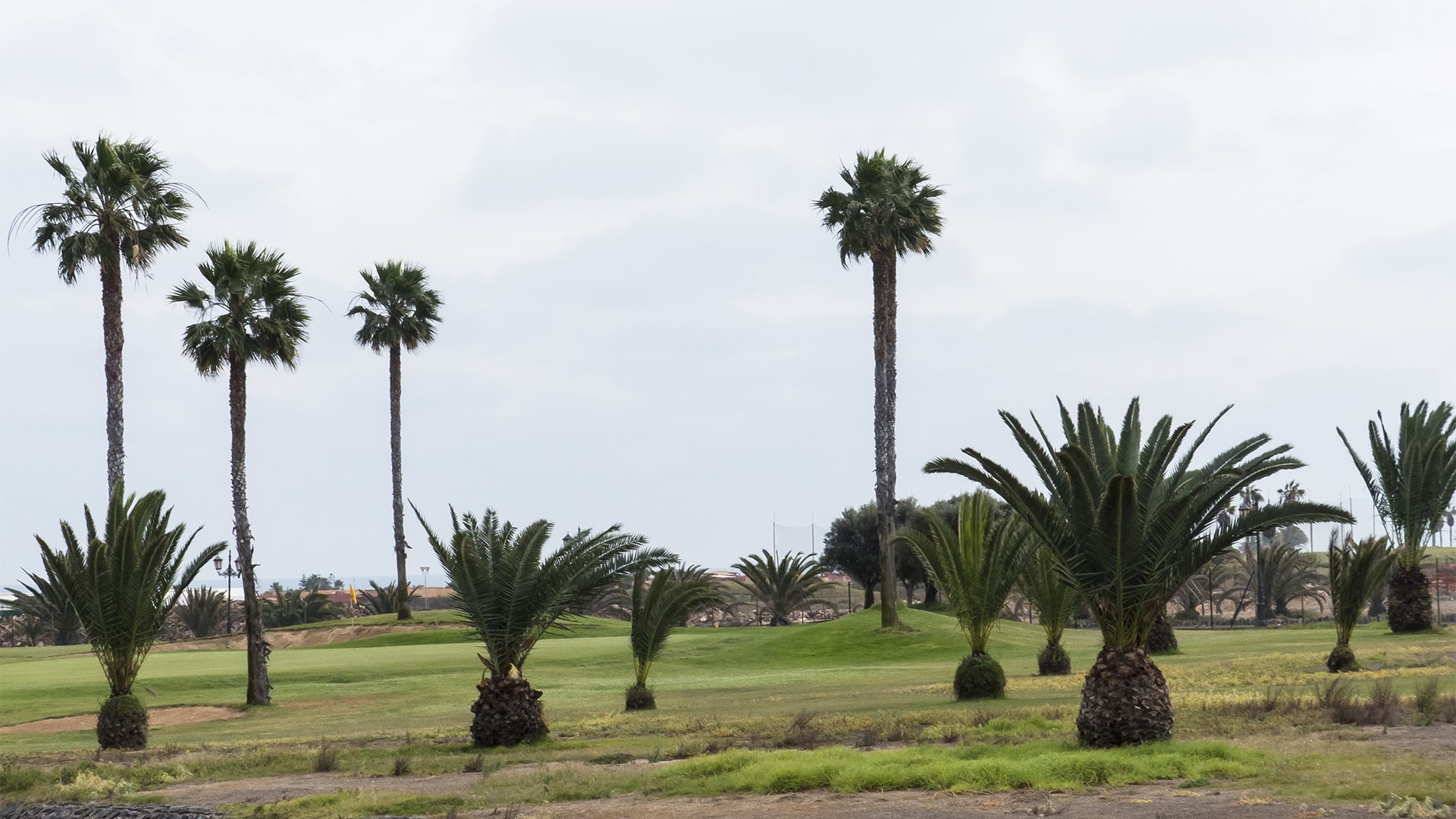 Golfen auf Fuerteventura – Fuerteventura Golf Club.