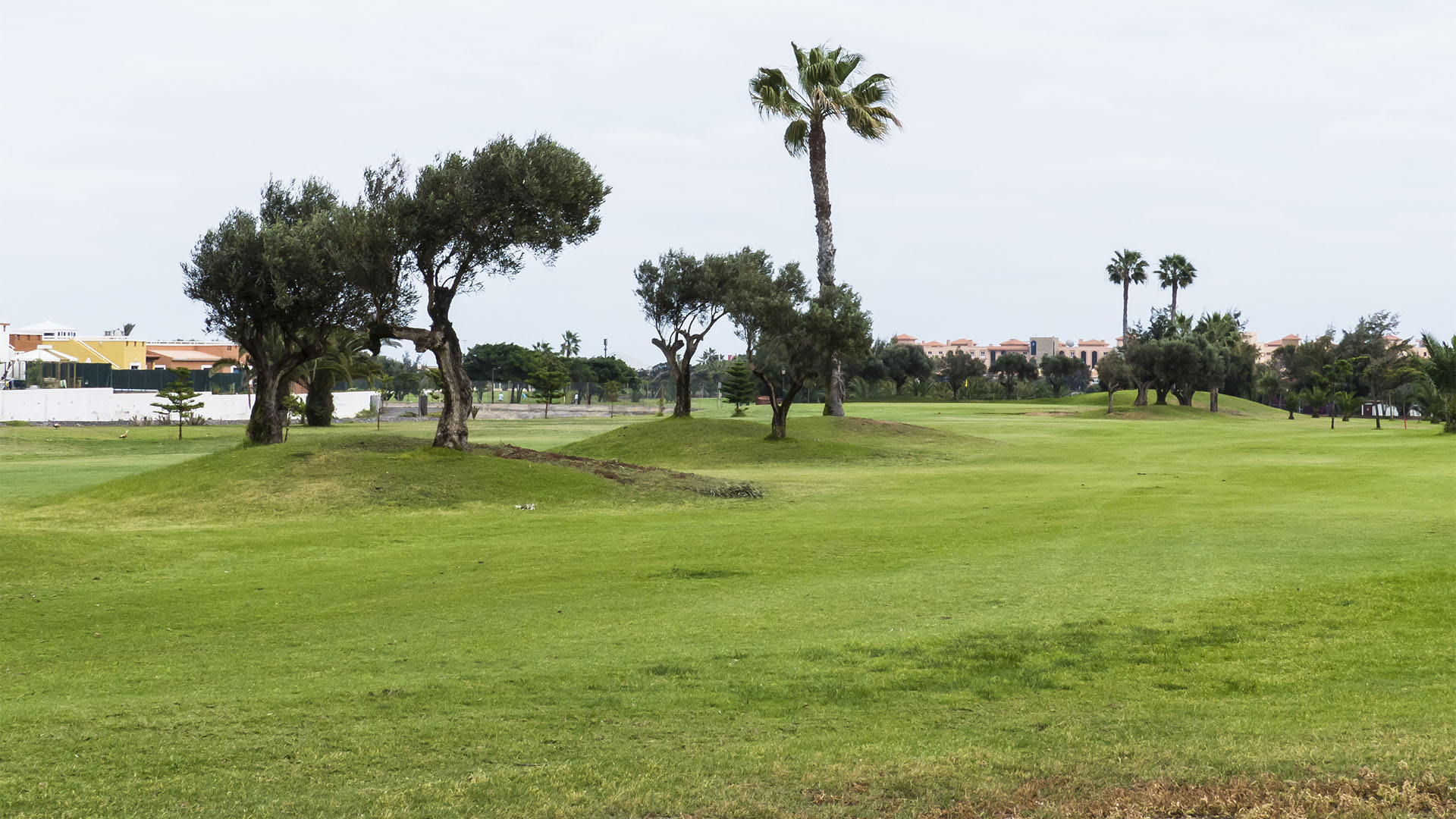 Golfen auf Fuerteventura – Fuerteventura Golf Club.