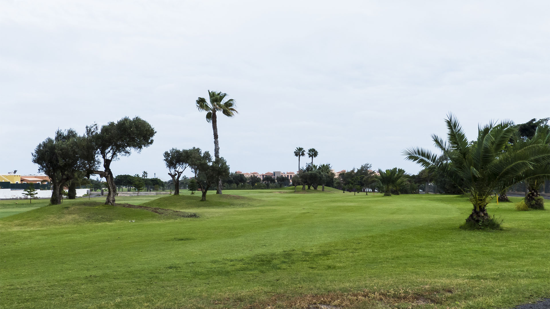 Golfen auf Fuerteventura – Fuerteventura Golf Club.