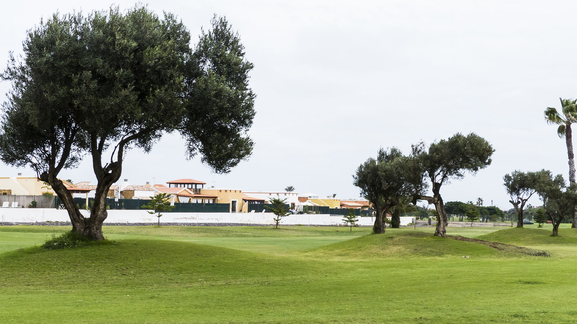 Golfen auf Fuerteventura – Fuerteventura Golf Club.