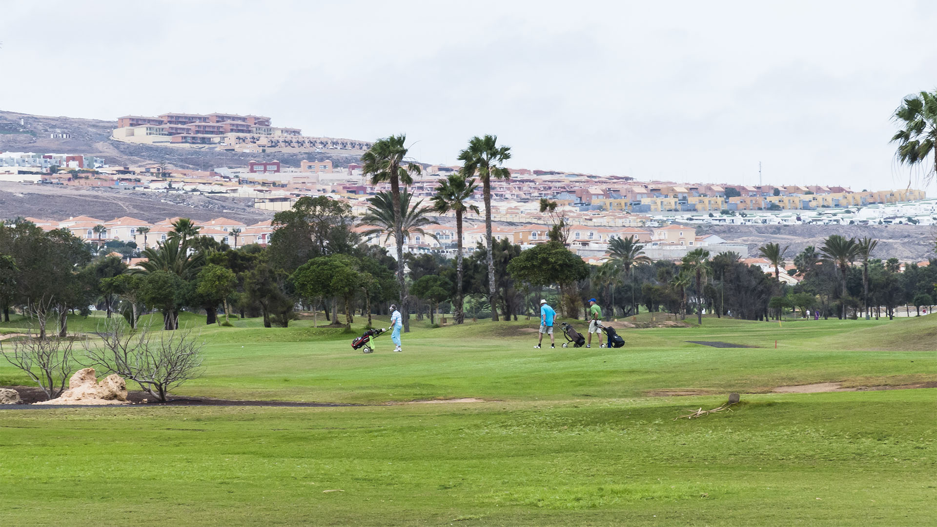 Golfen auf Fuerteventura – Fuerteventura Golf Club.