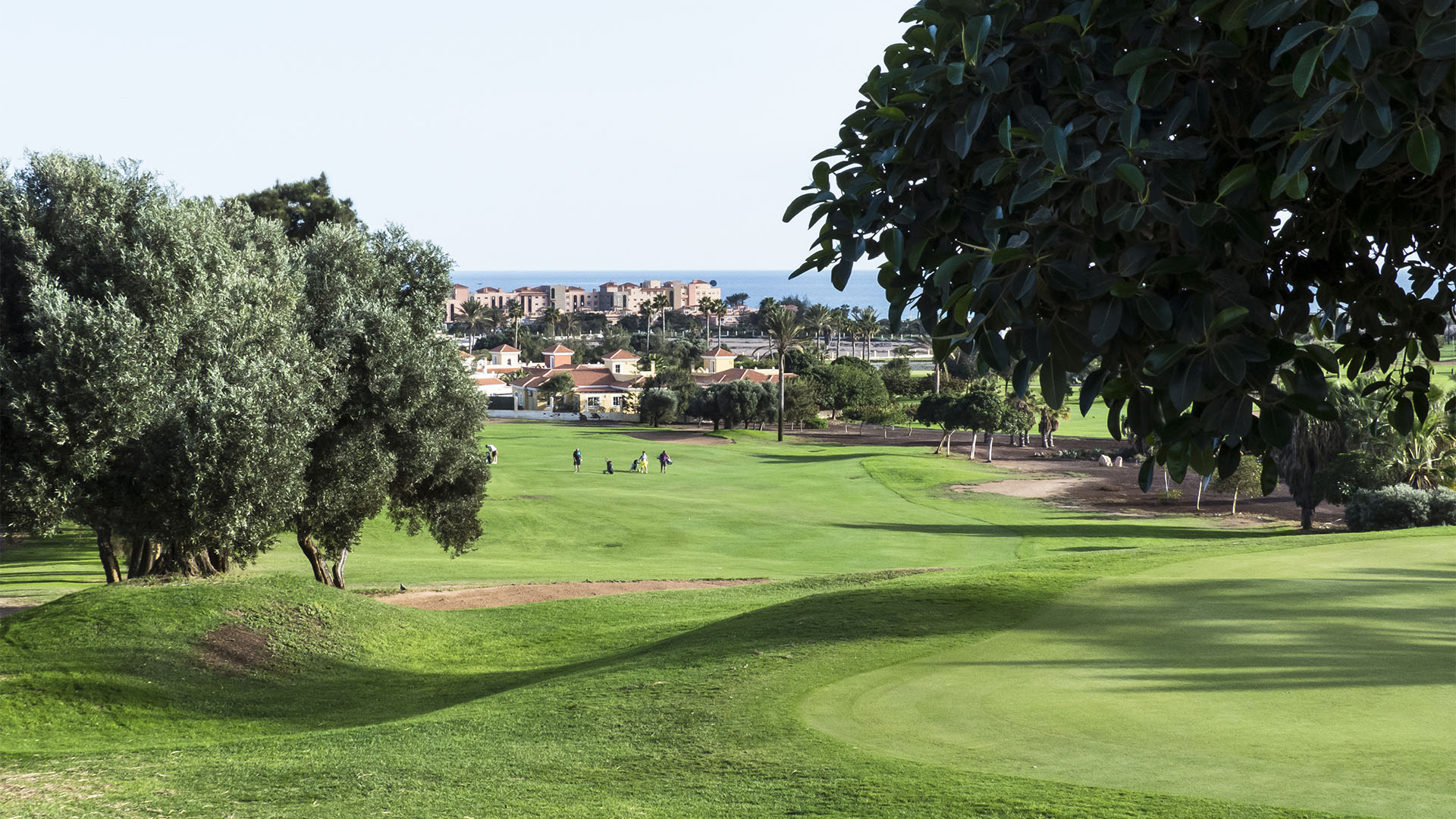 Golfen auf Fuerteventura – Golf Club Salinas de Antigua