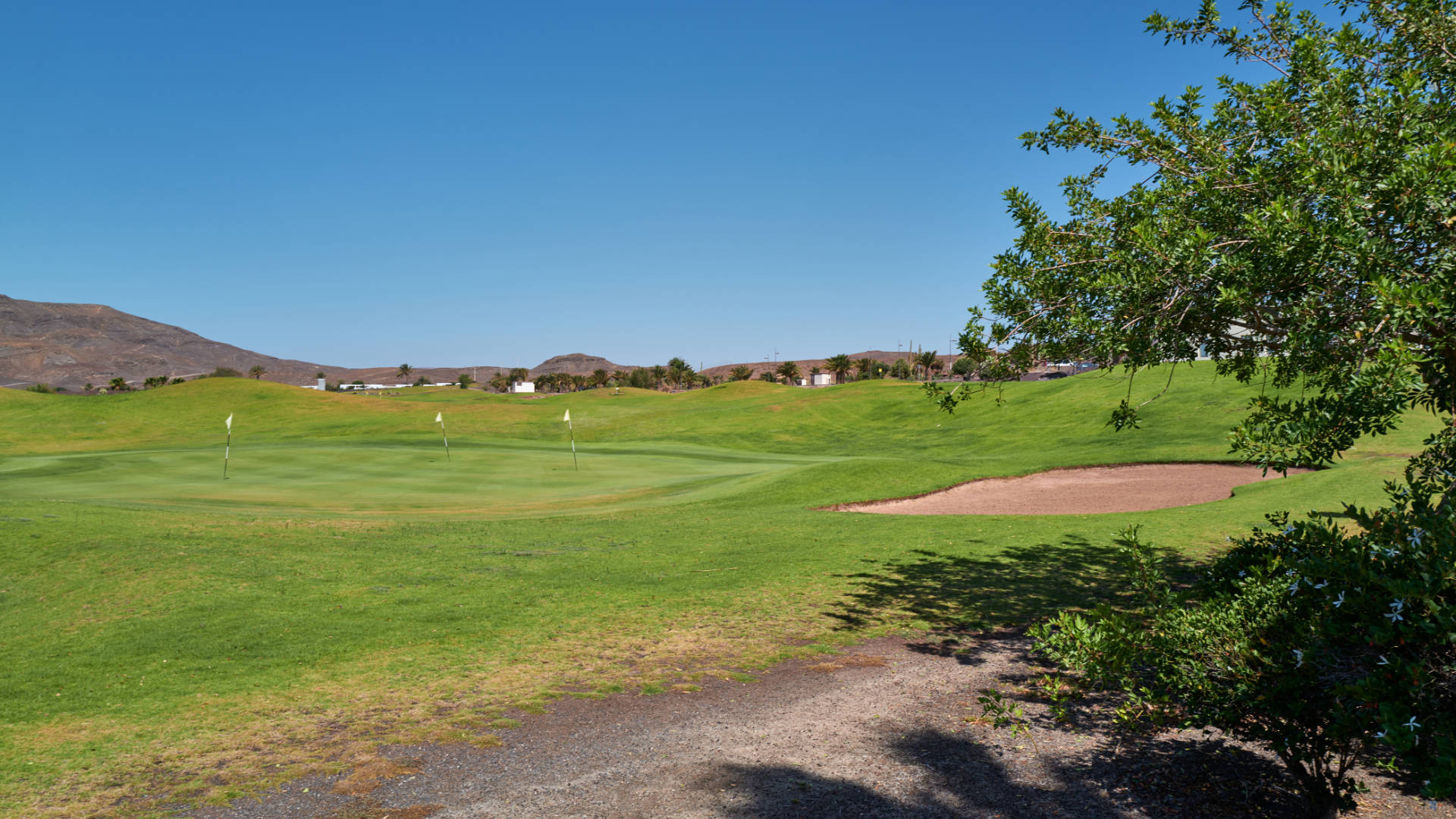 Playitas Golf Fuerteventura.