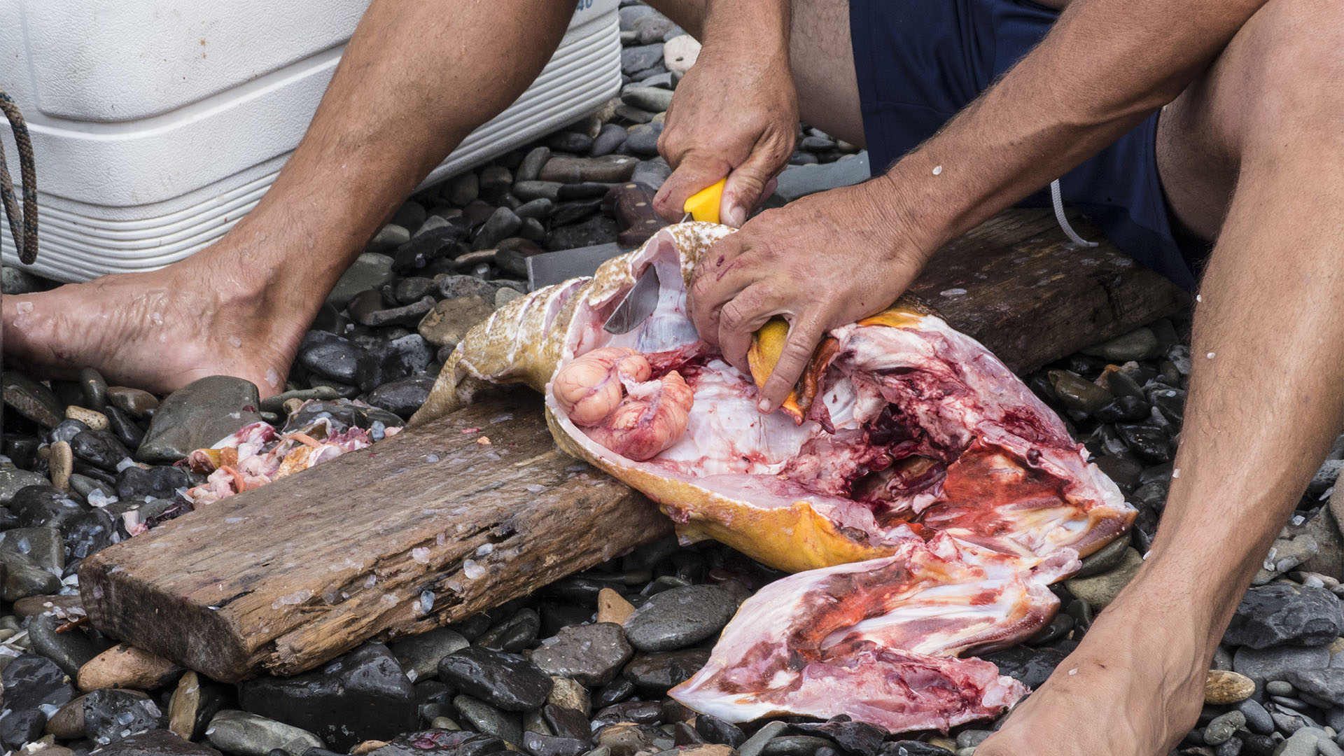 Fischen Hochseefischen Angeln auf Fuerteventura.